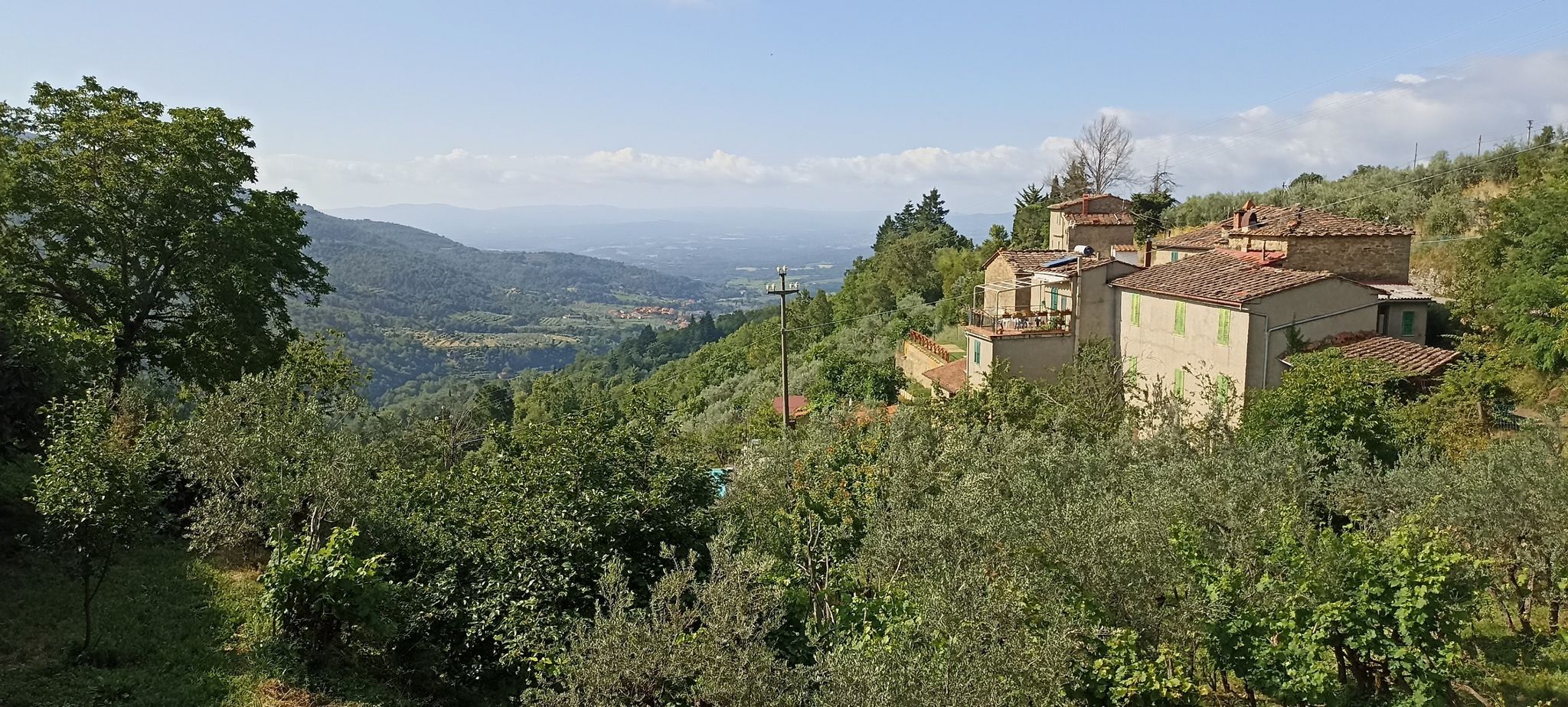 Poggio di Loro