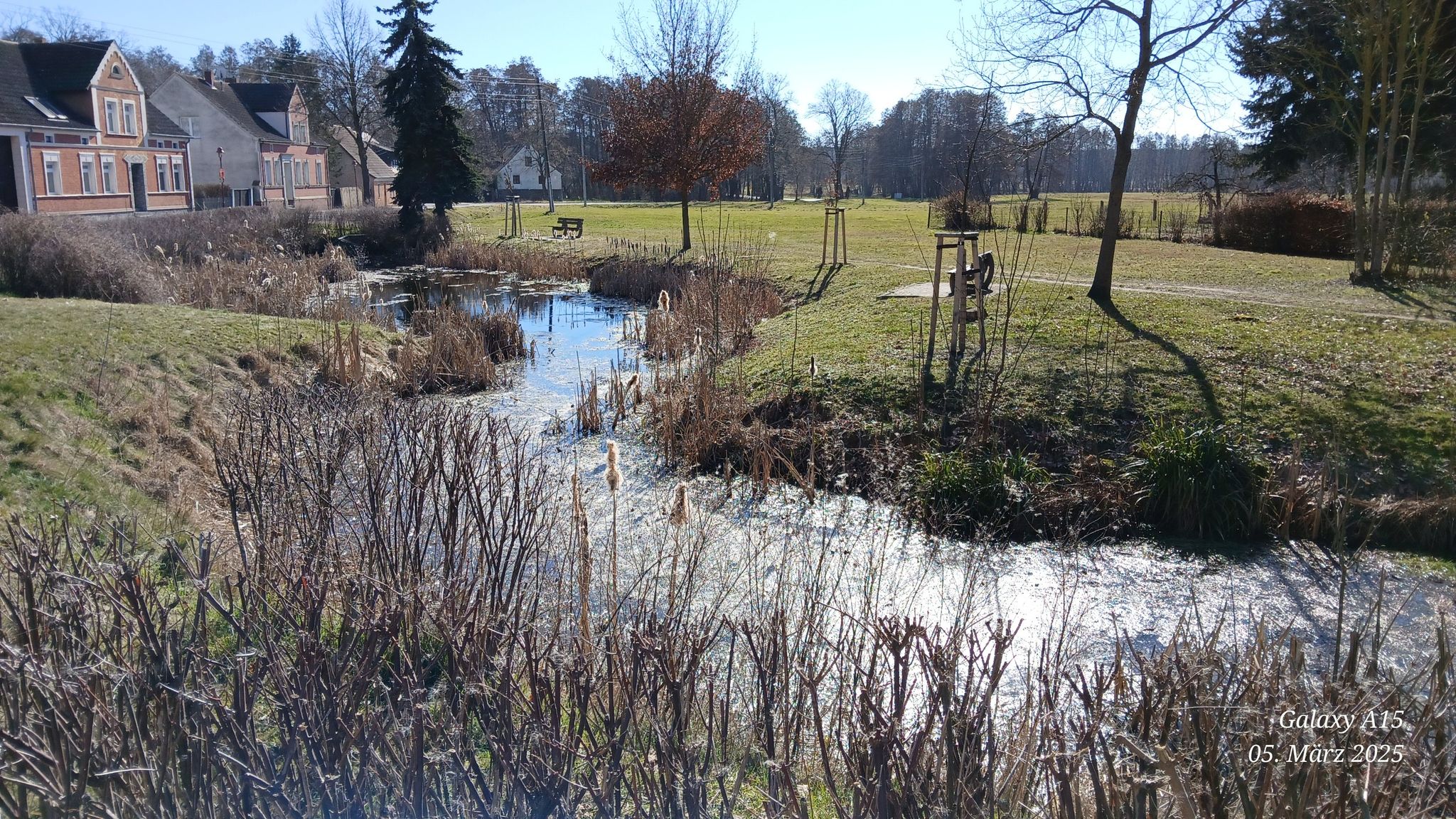 Dorfteich