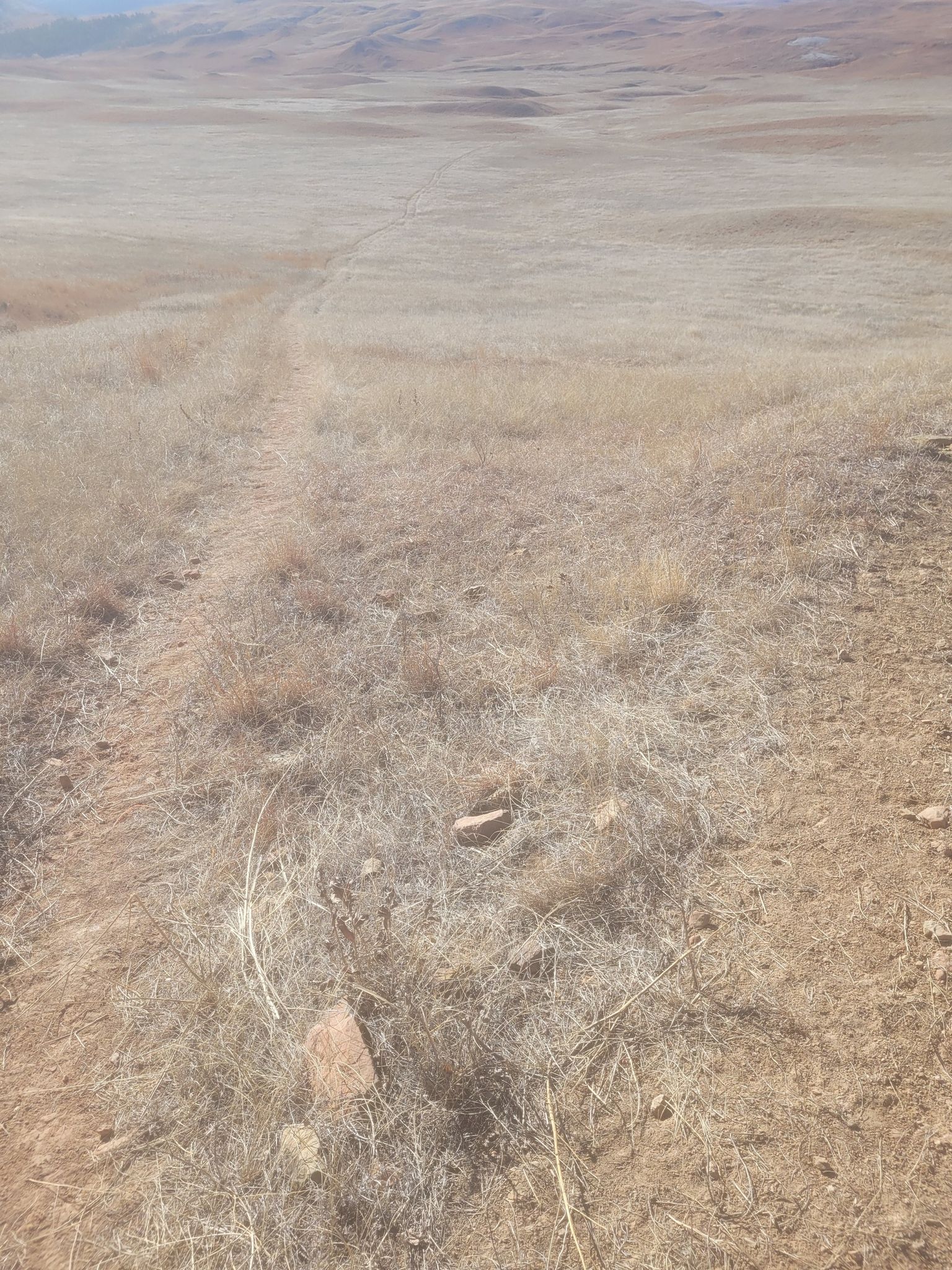 A dirt path winds through dry, golden grass under bright sunlight. - Boland Ridge Trail