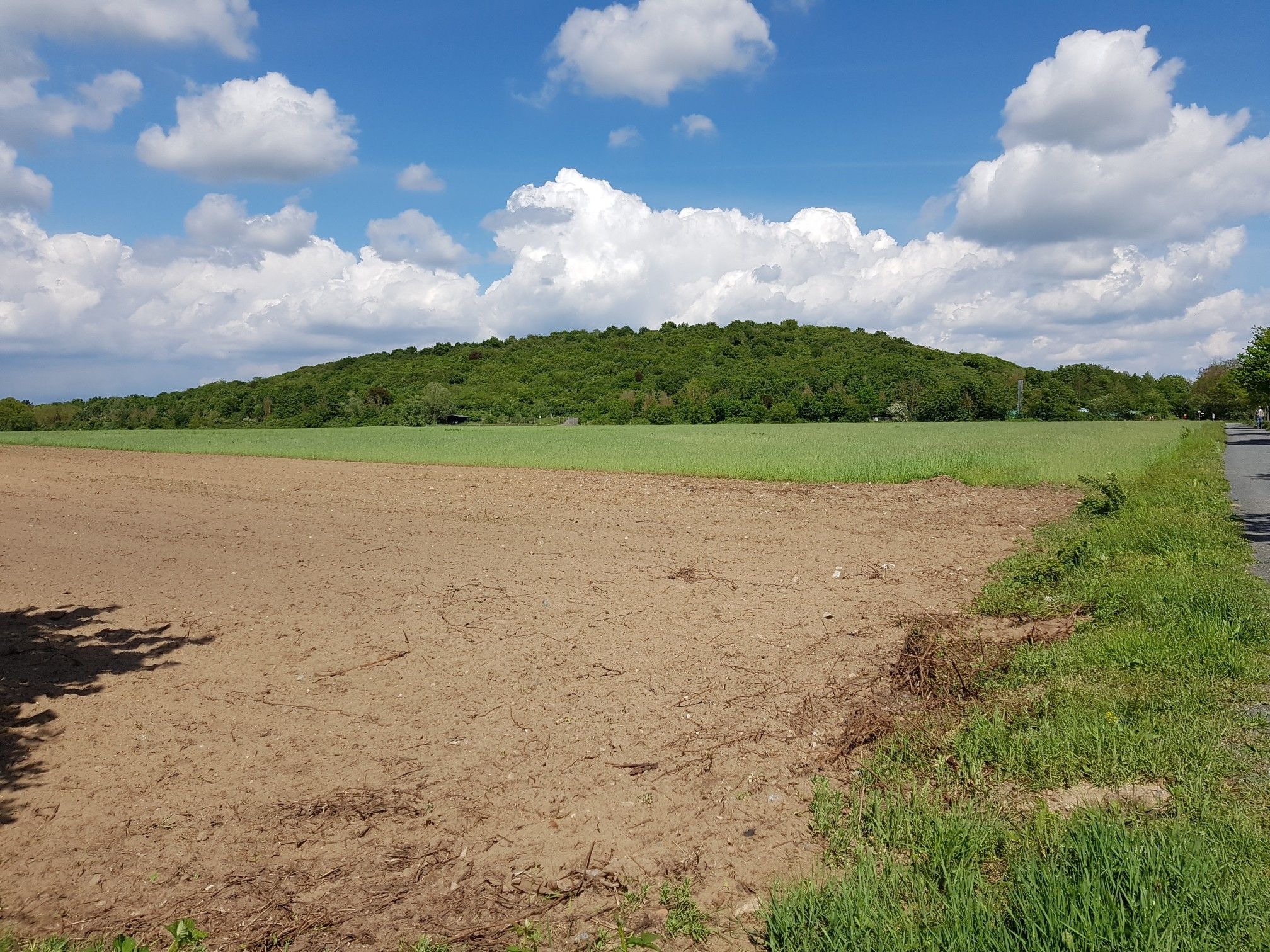 Oberwaldberg