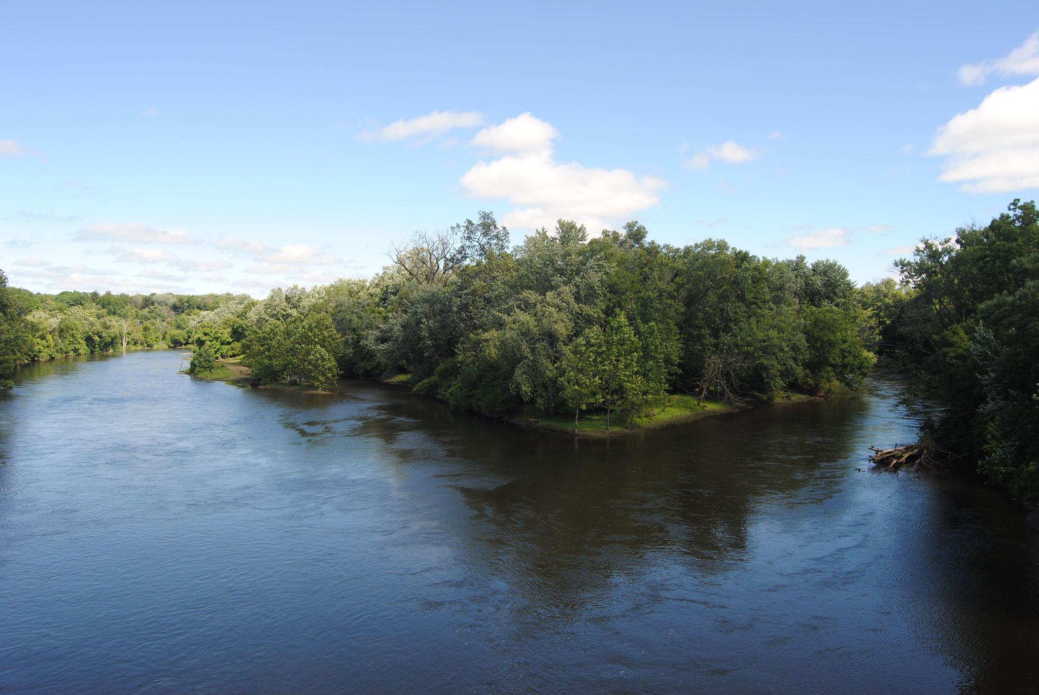 A wide river flowing around a densely forested island on a sunny day. - Benton Harbor County - Benton Harbor Loop
