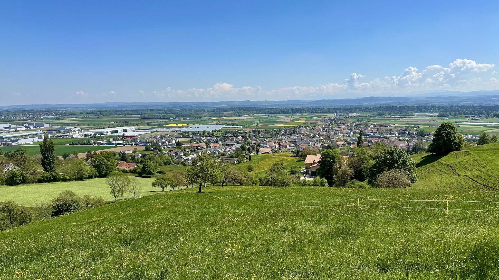 ...Niederbipp: Kein Fluss, kein See, aber der berühmteste Ort, wenn's um Staumeldungen geht🤭...