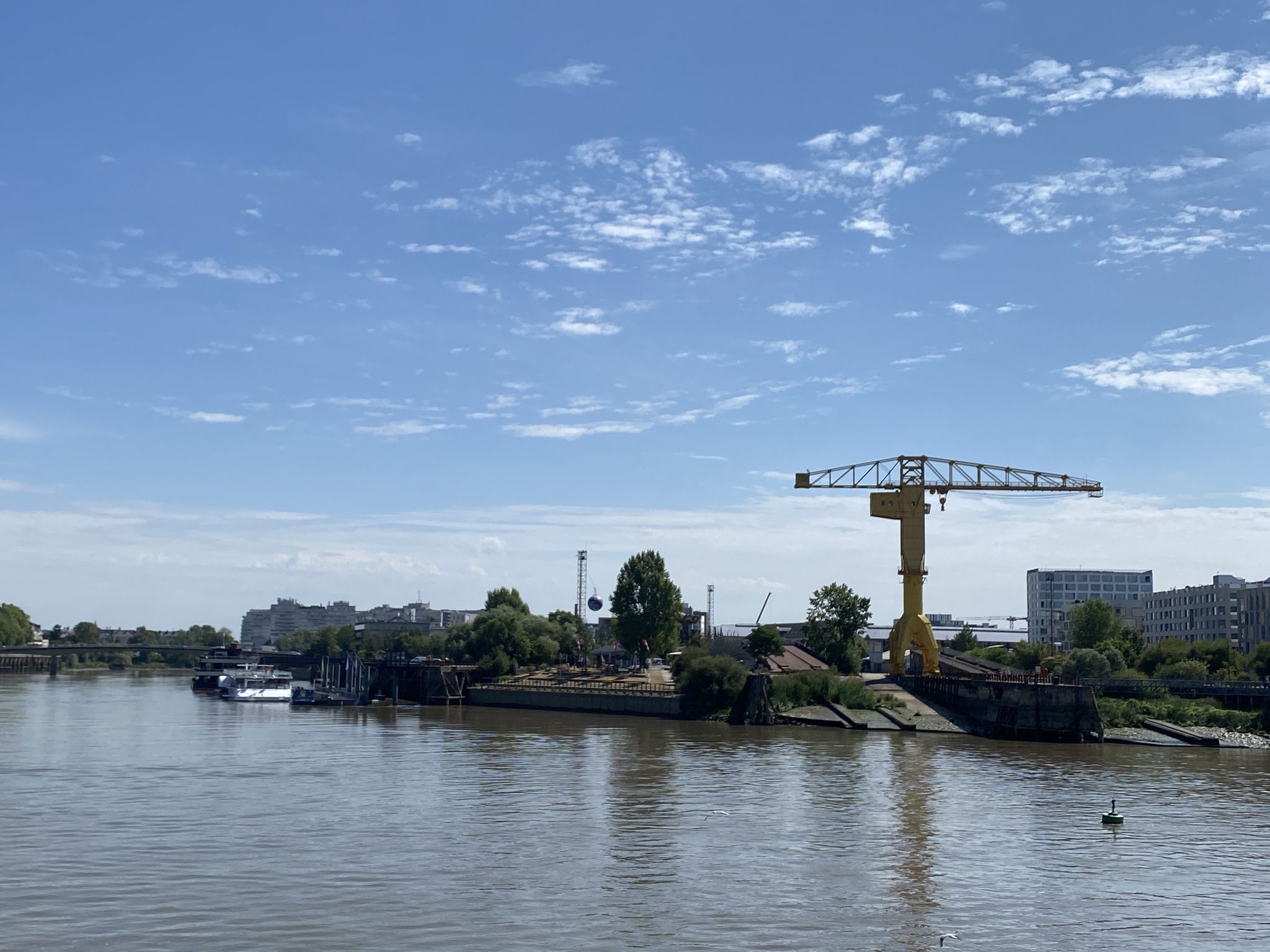 Grue jaune