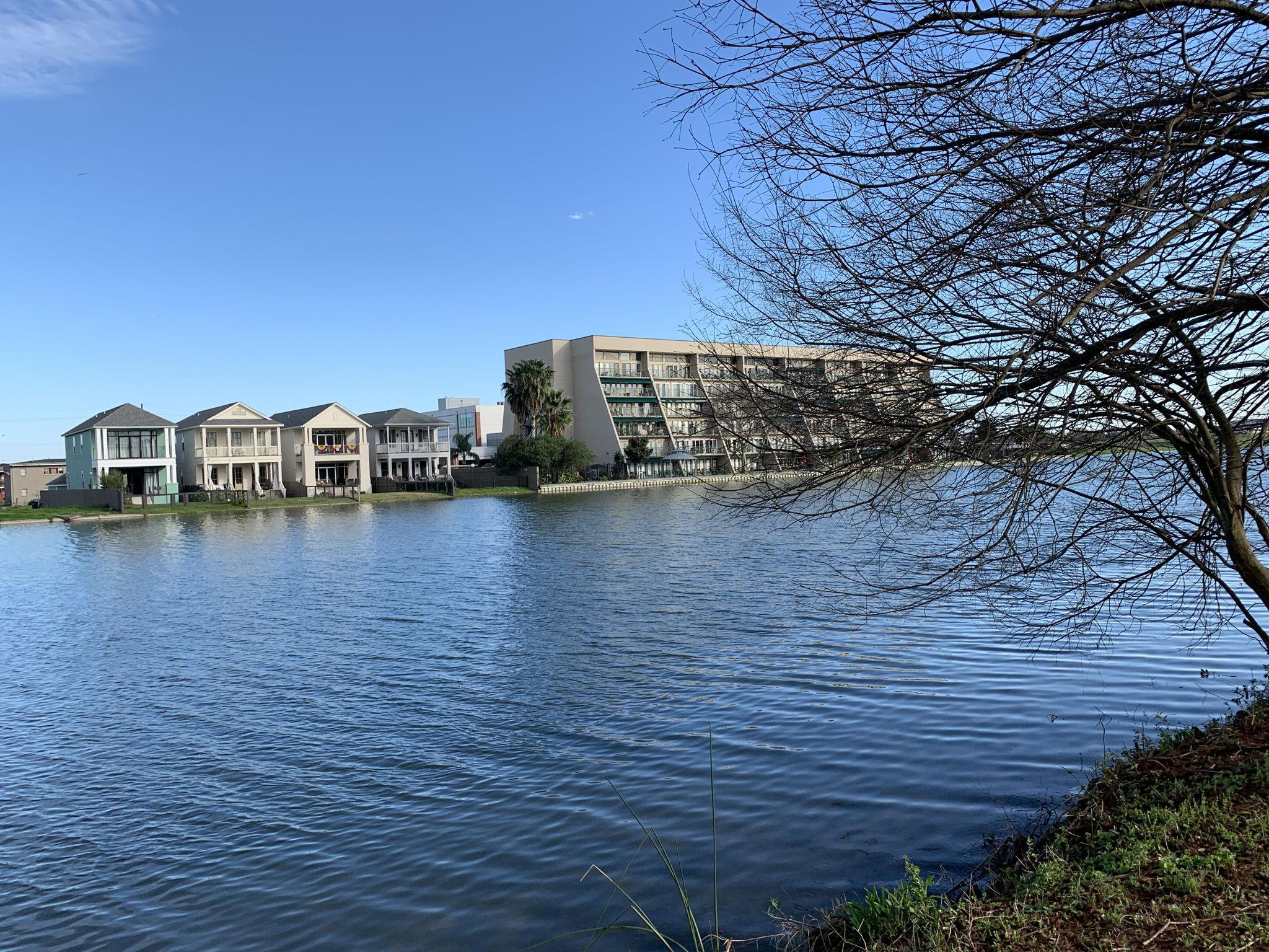 Waterfront Properties 