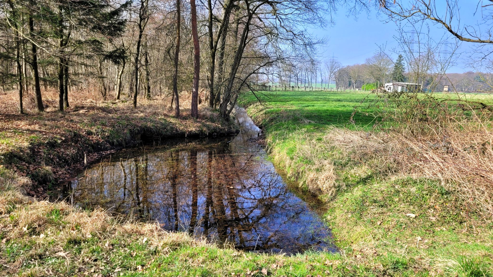 Gewässer an der Buerelter Straße