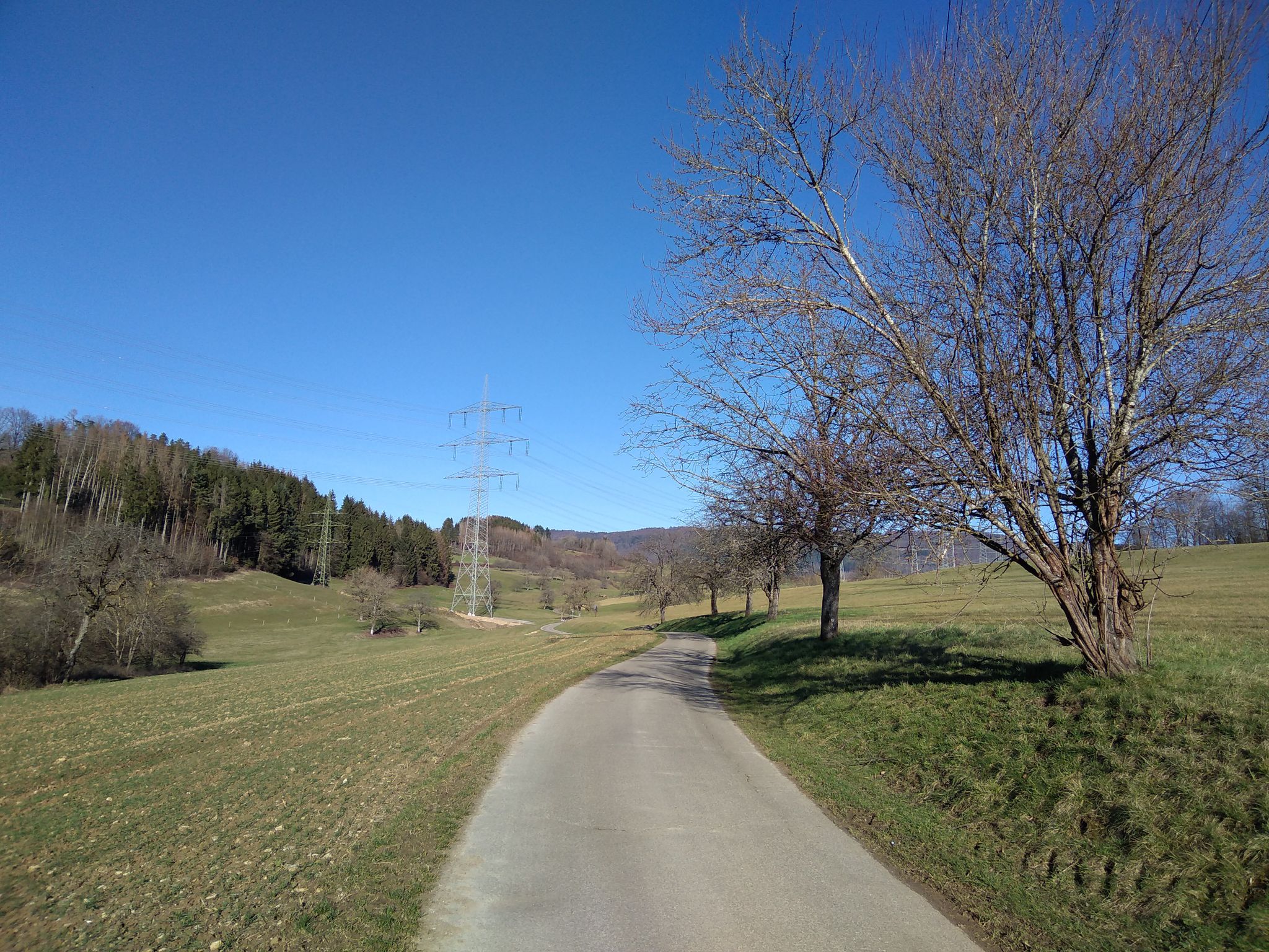 über den Dinkelberg in Richtung Enkendorf