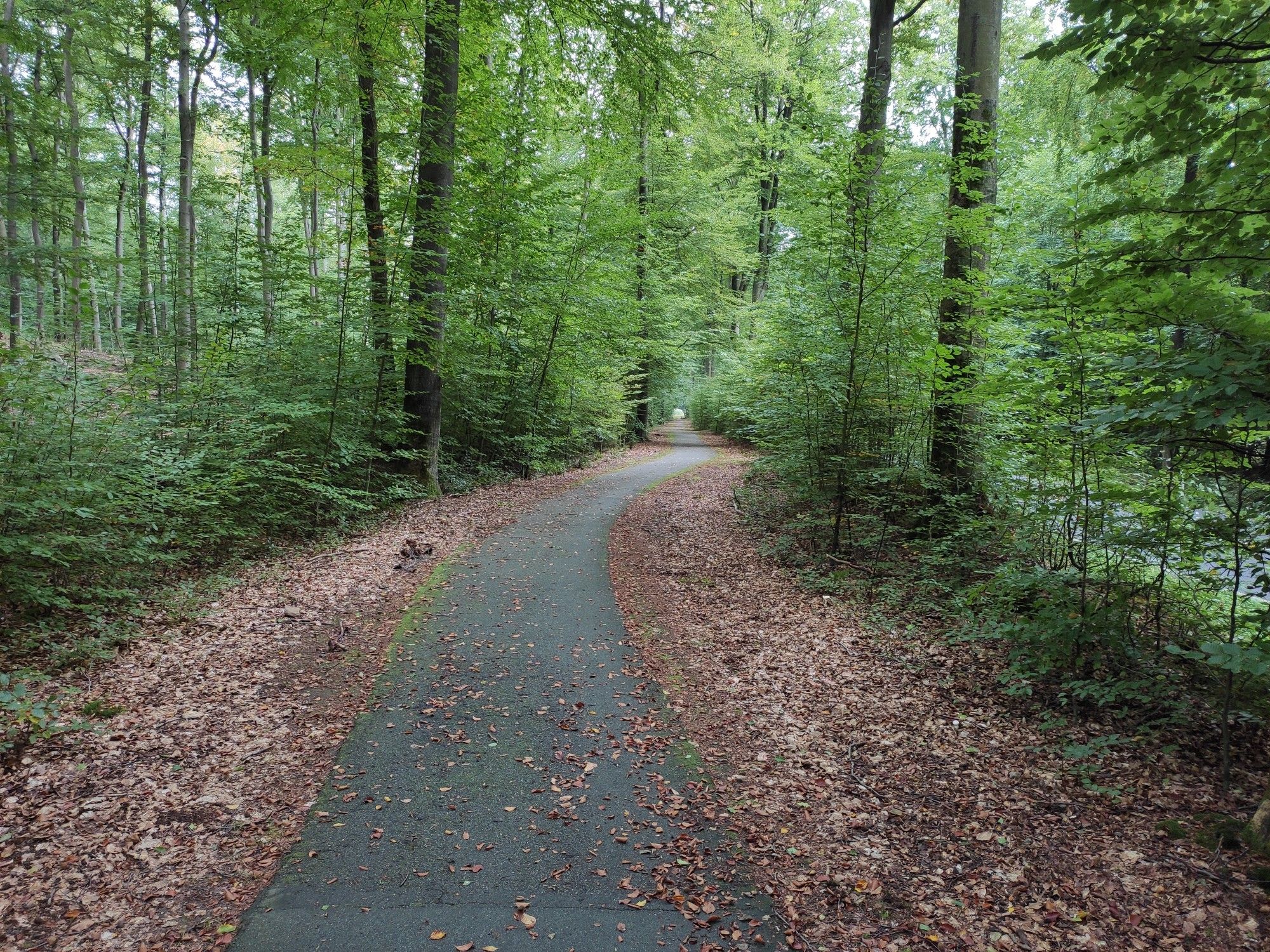 herrliche Luft , zwischen Tötensen und Eddelsen