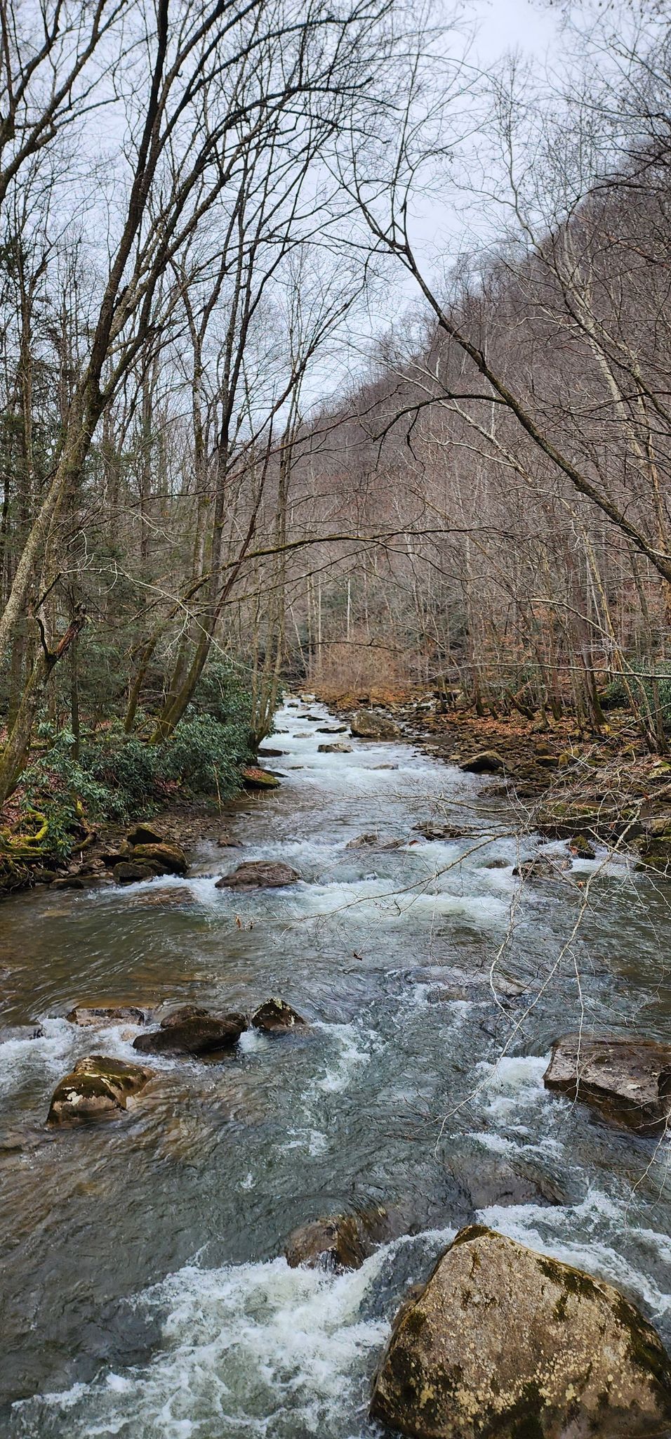 Wide view of a rocky river flowing through a bare winter forest. - Glade Creek Trail
