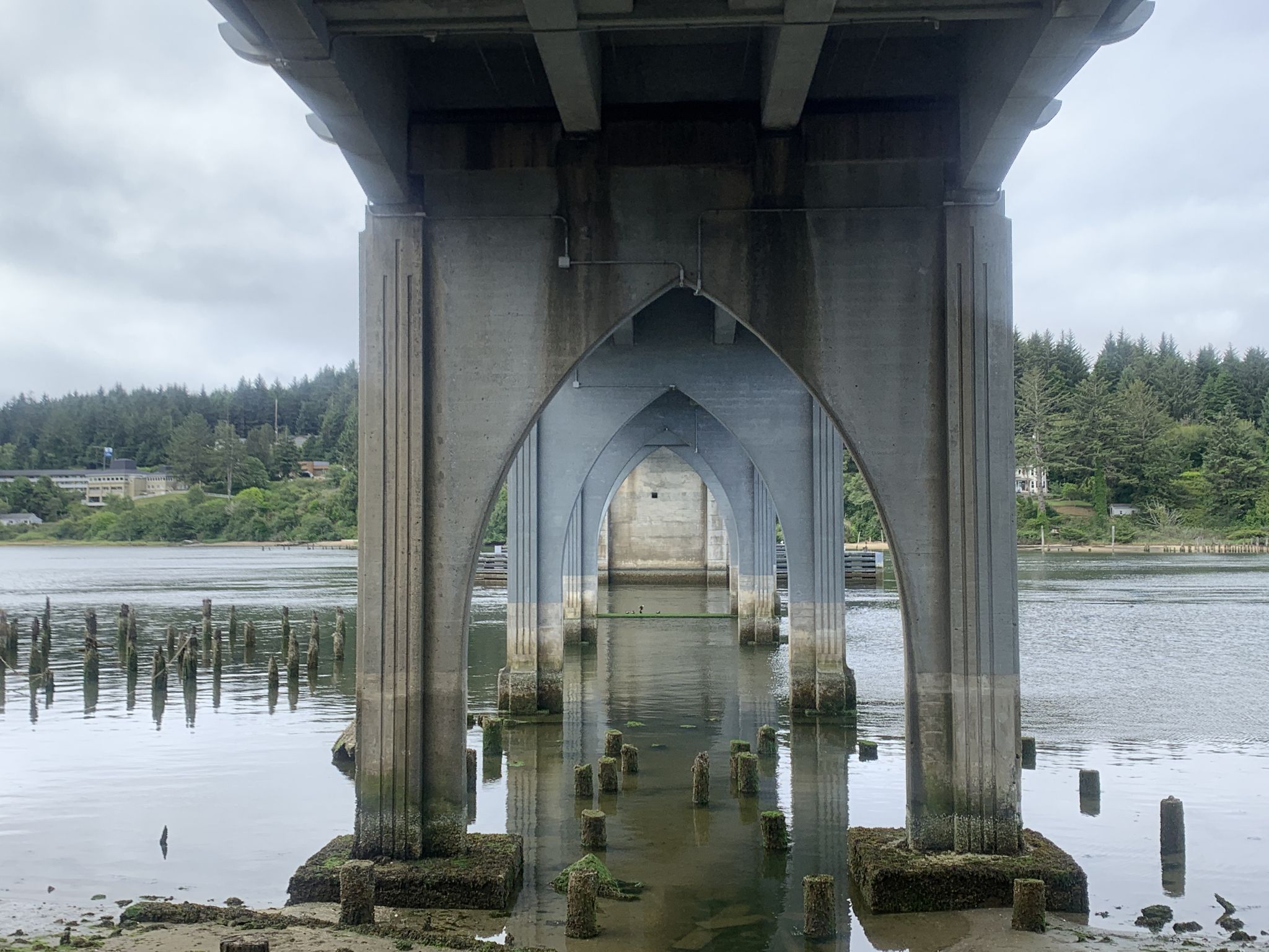 Arches of a concrete bridge over water, seen from below. - Driftwood Shores Resort – Siuslaw River Roasters loop from Heceta Beach