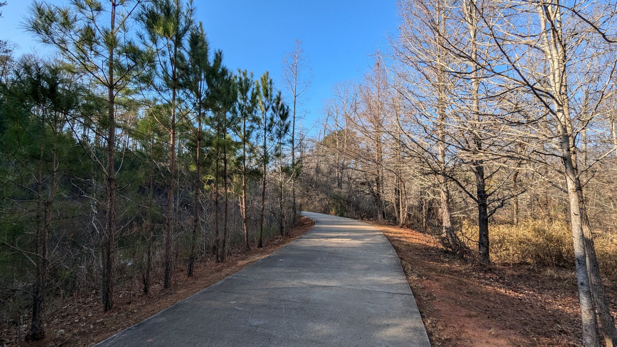 Paved path winding through a forest with bare and evergreen trees under a clear sky. - Big Creek Greenway Alpharetta – Alpharetta Big Creek Greenway loop from Windward Plaza & 4025