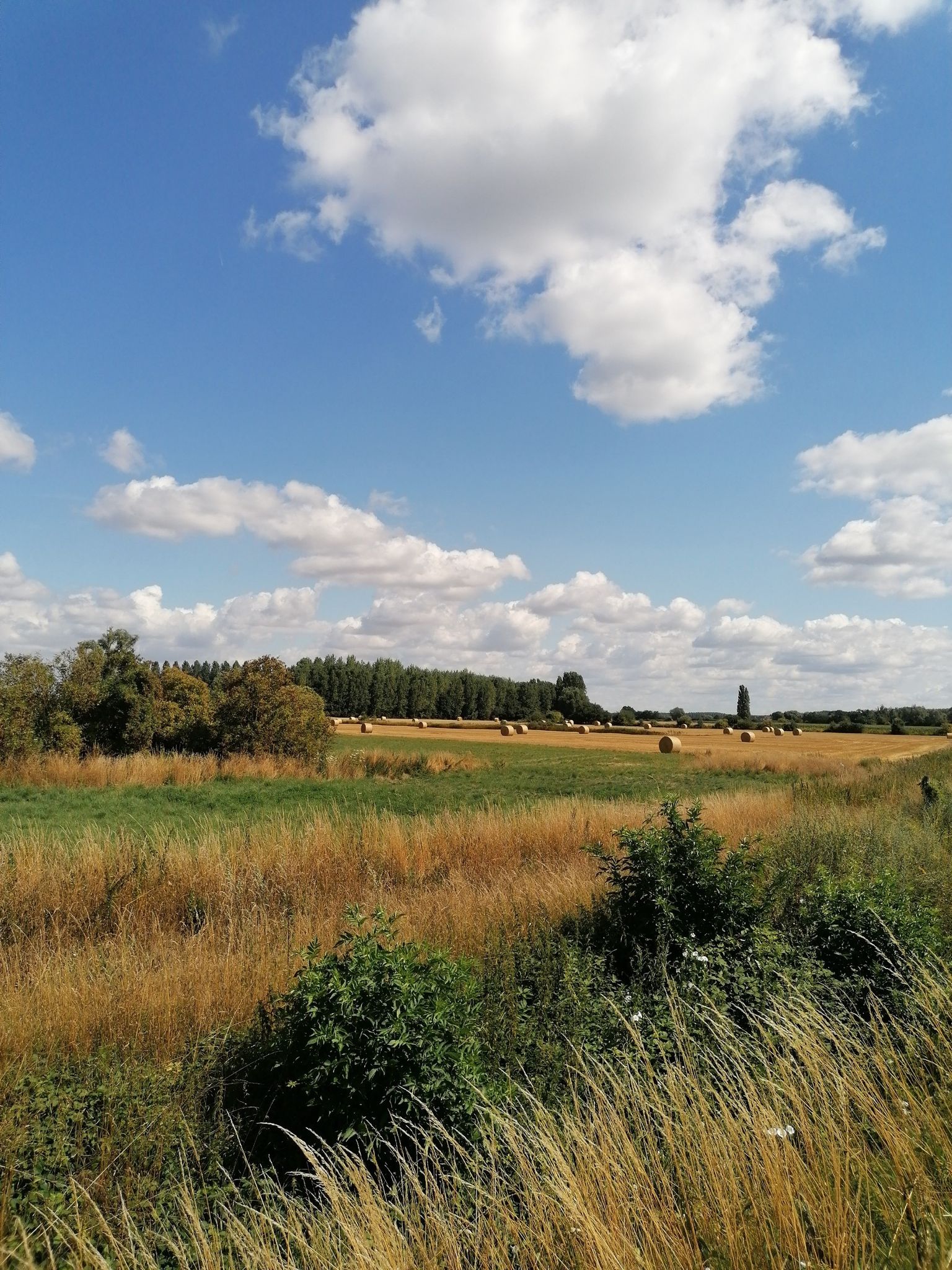 Blick über die Felder