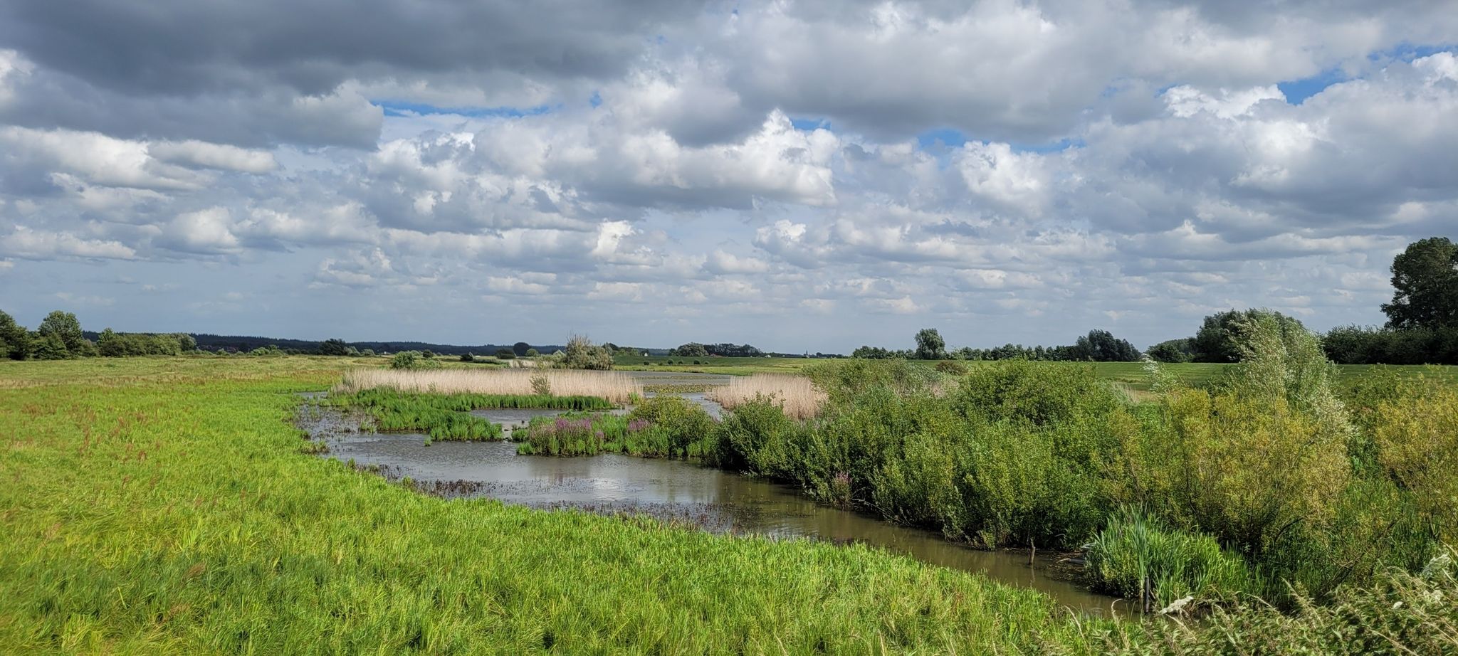 uiterwaaarden bij pont