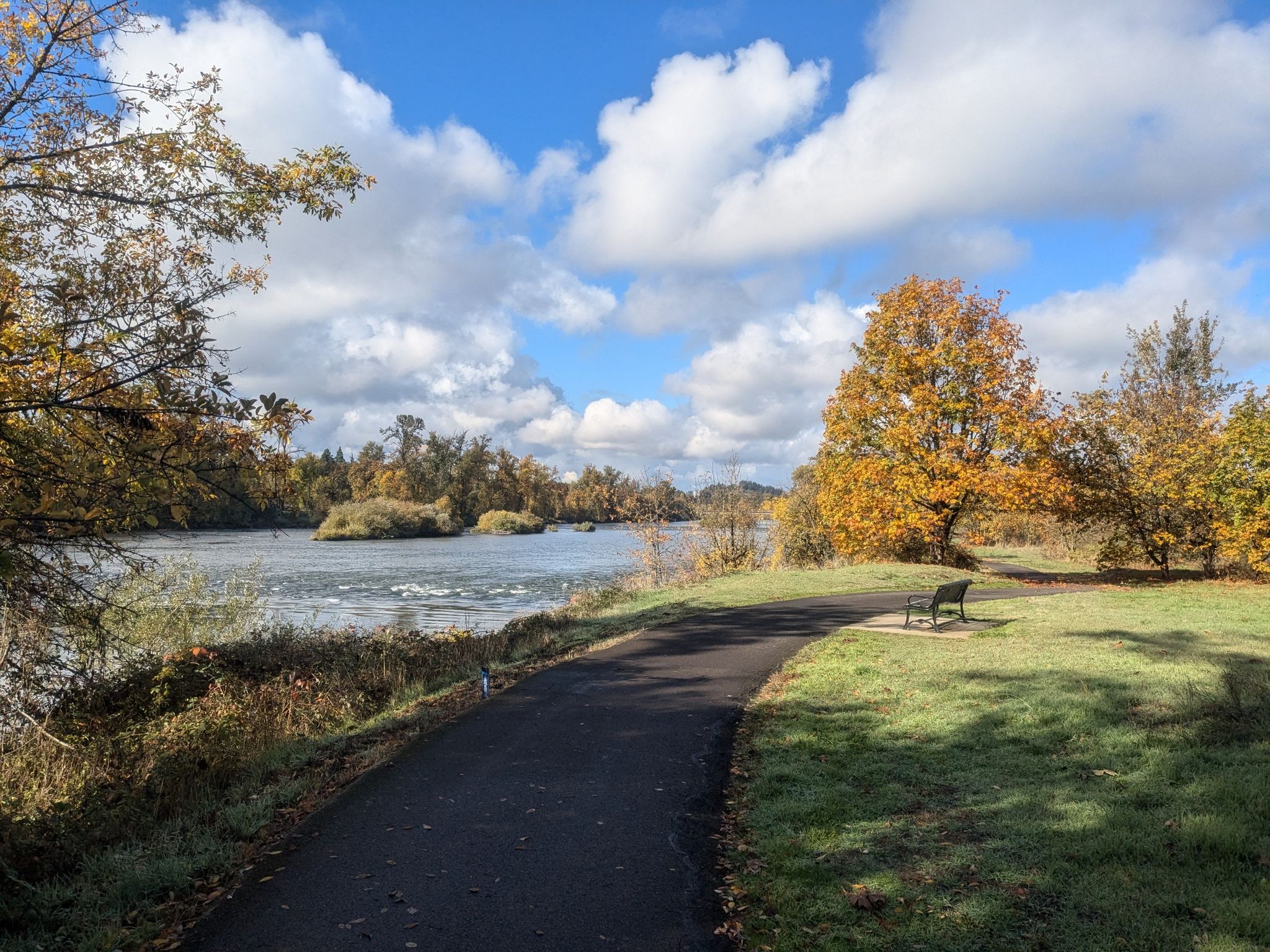 A paved path beside a river, with vibrant autumn trees under a cloudy sky. - Eugene & Springfield Willamette River loop run