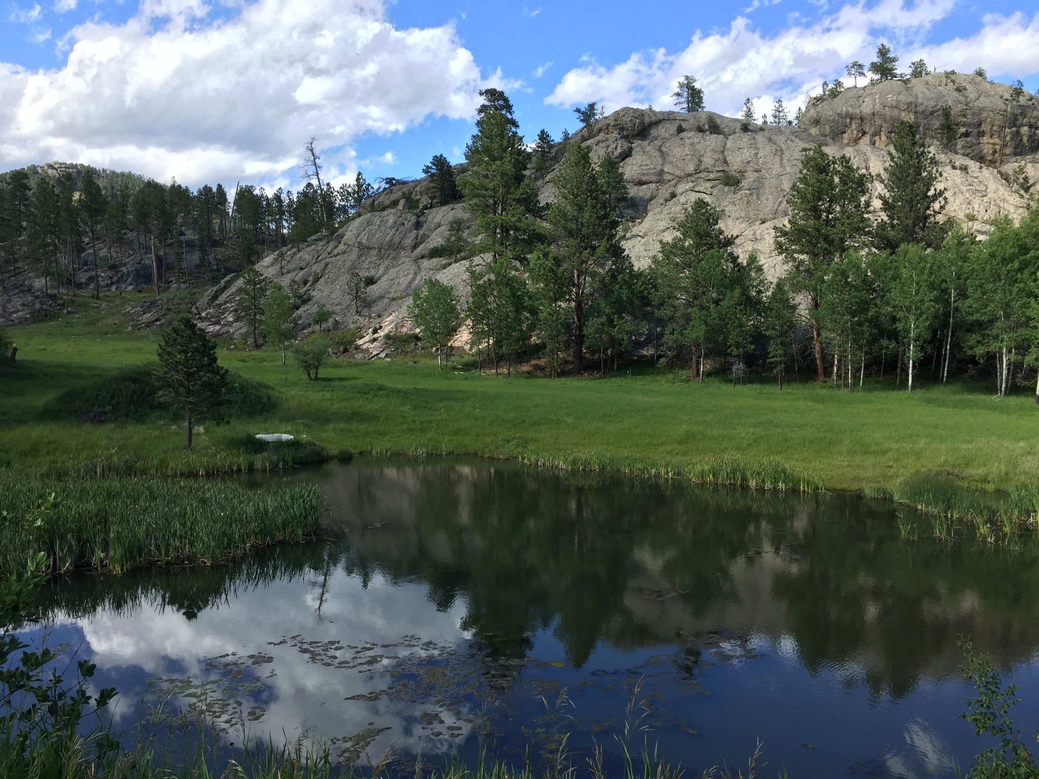 Pond reflecting rocky hills and trees under a cloudy sky. - George S. Mickelson Trail: Hill City to Custer