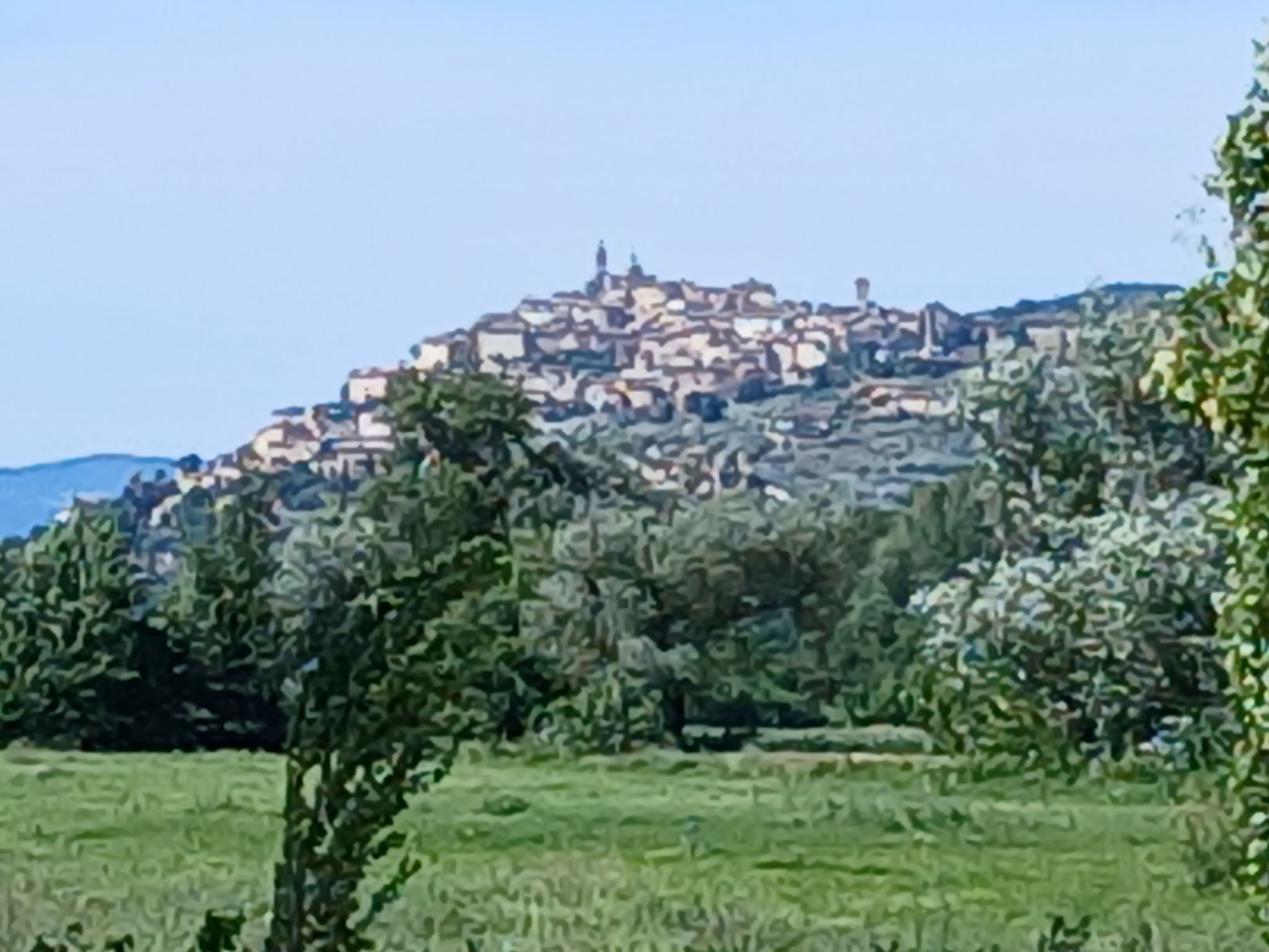 Vista su Assisi 