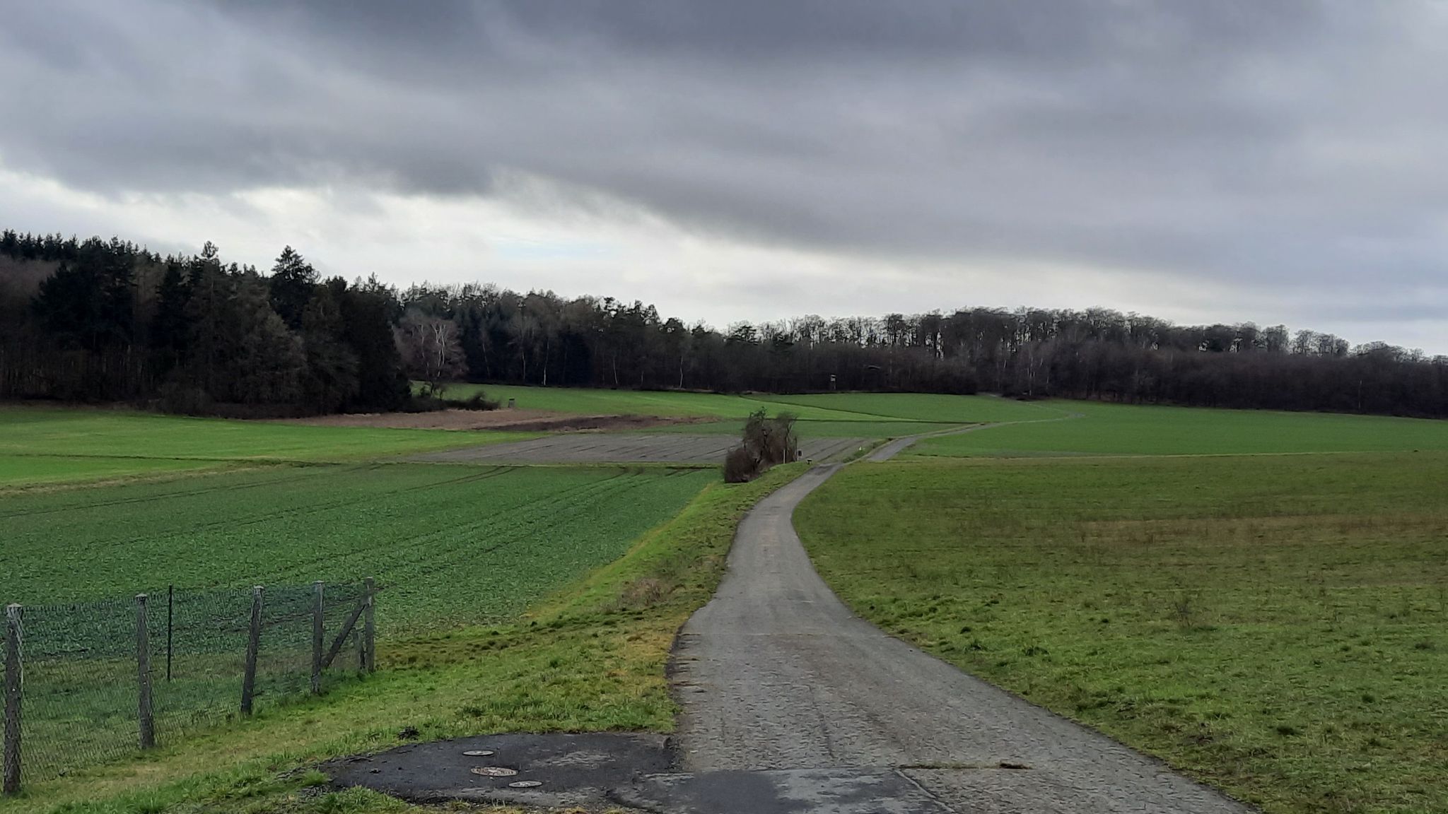 hier geht's weiter Richtung Steinbach - am Waldrand kommt eine steile Rampe!