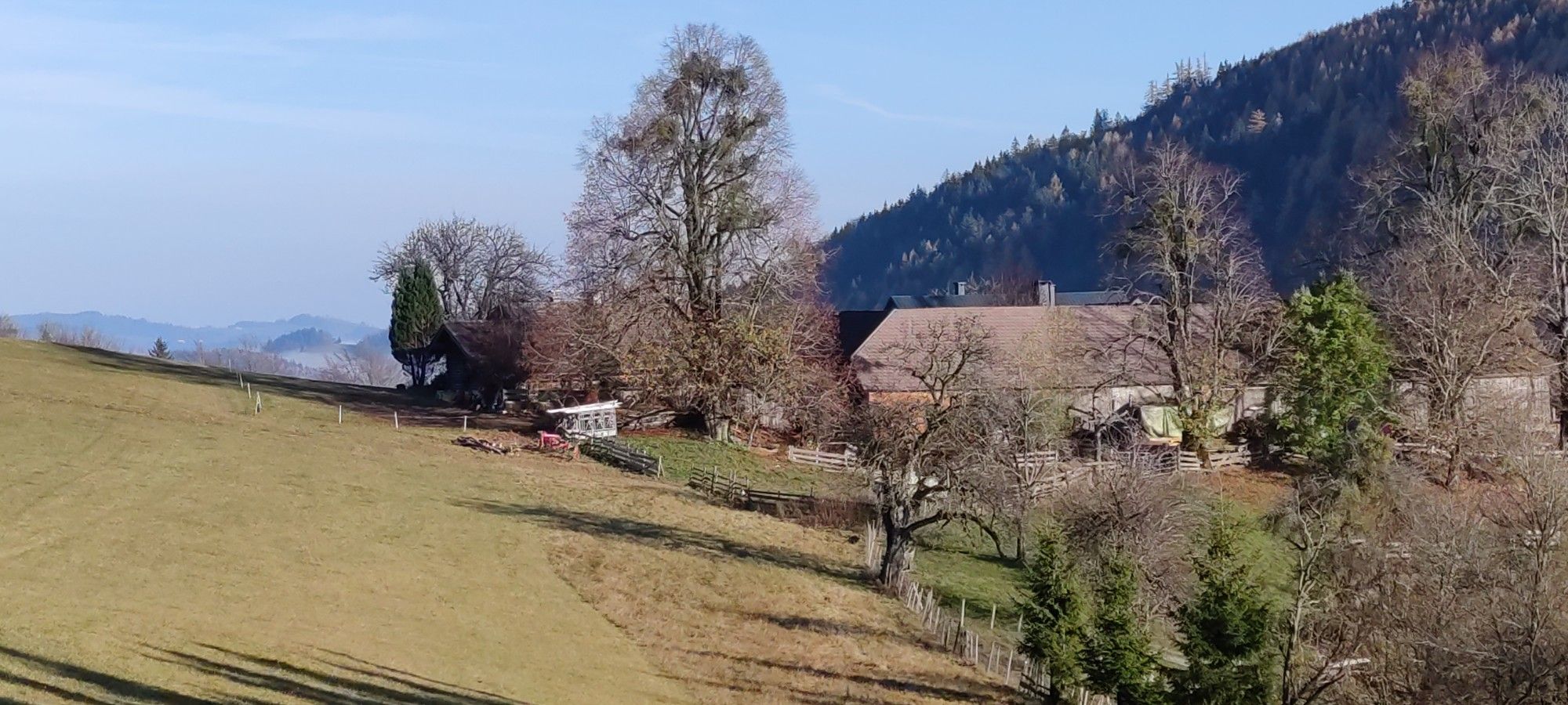 Hochschlag