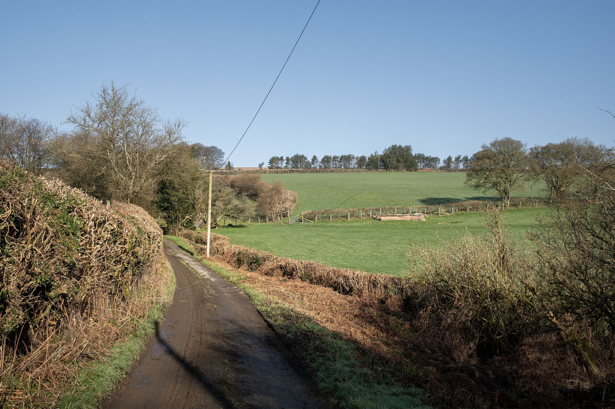 The climb to Hergest Ridge