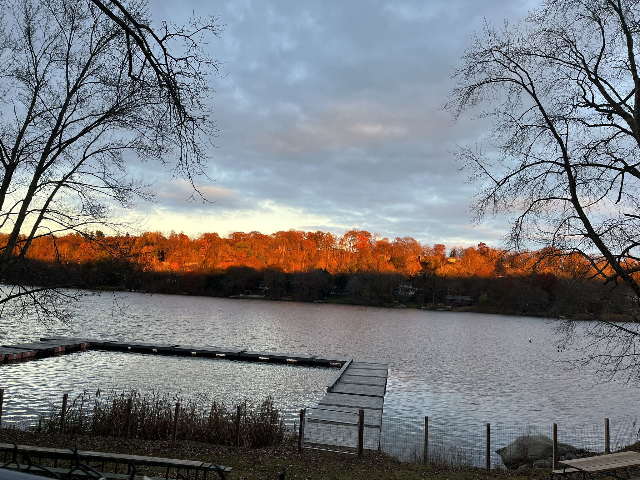 A lake with docks, bare trees, and a distant forest glowing golden at sunset. - Maybrook Trailway
