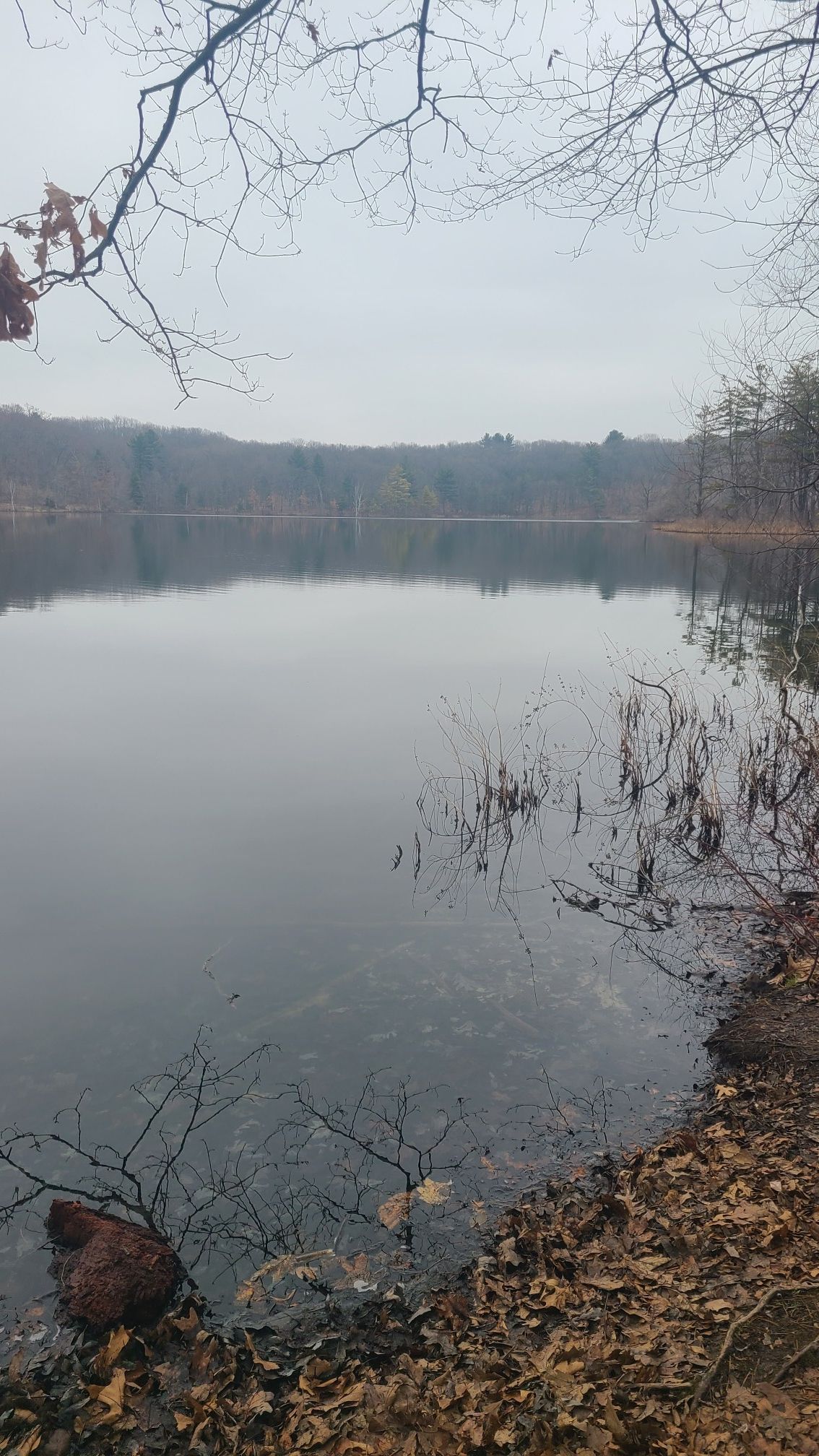 A serene lake surrounded by bare trees under a cloudy, muted sky. - Graves Hill – Devil’s Soup Bowl overlook loop from Yankee Springs Recreation Area