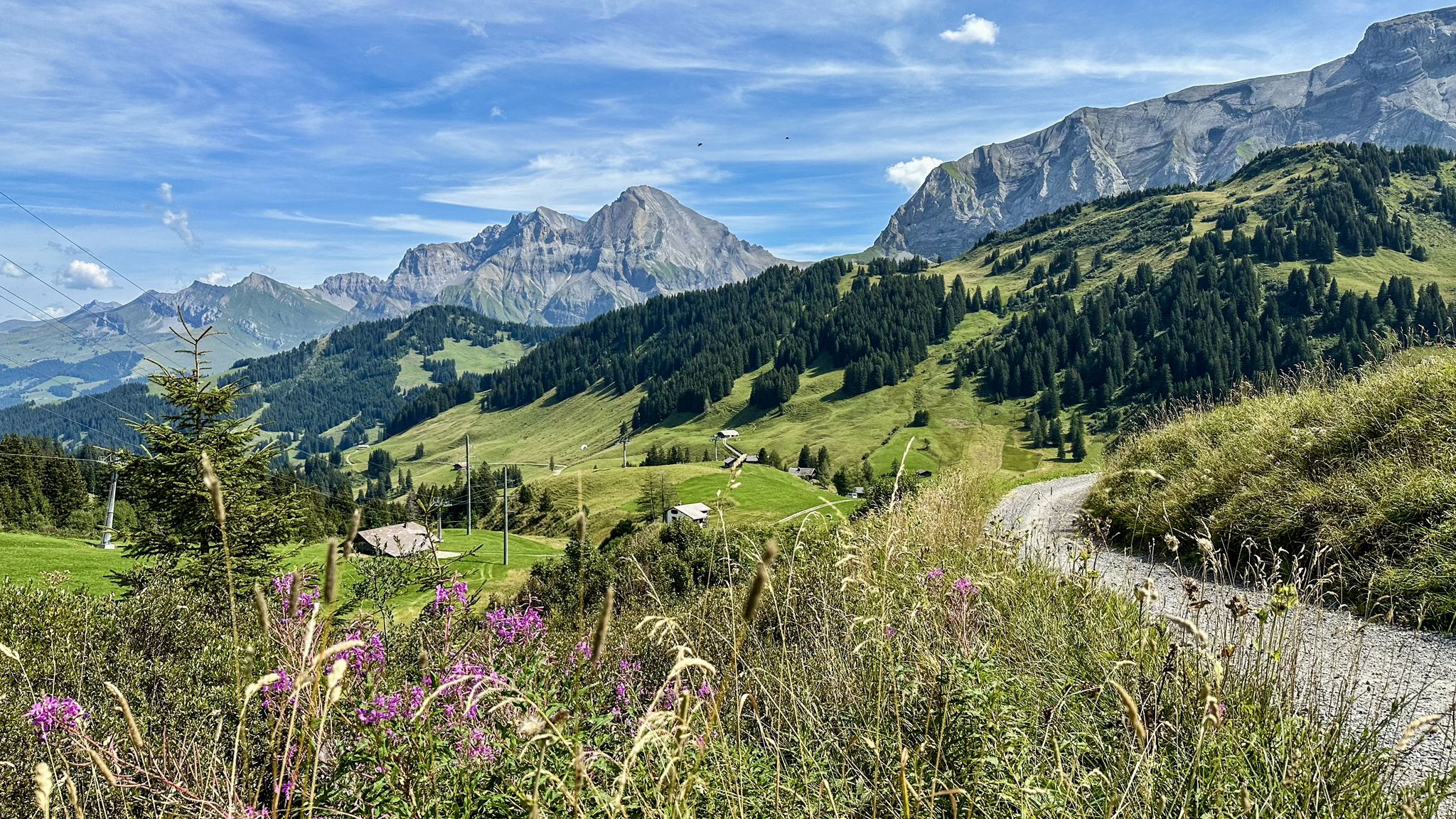 ...mit wahnsinns Bergkulisse🥰...