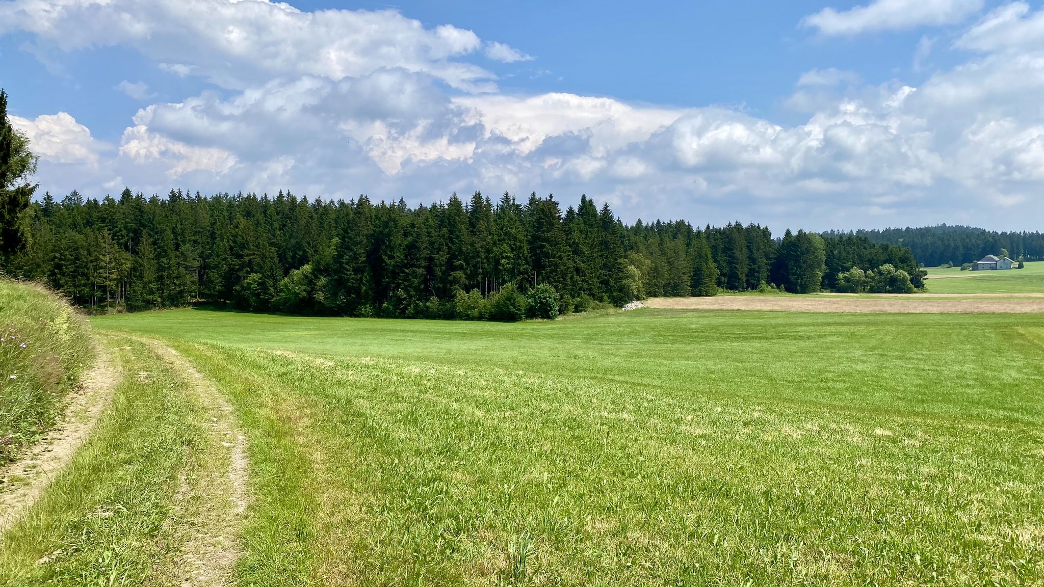 Wald und Wiesen dominieren hier oben