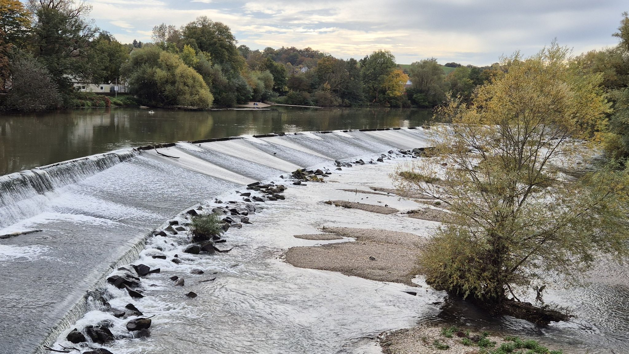 der Neckar