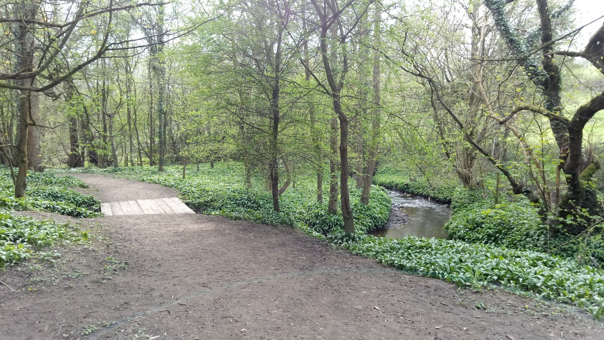 Cockersdale Woods