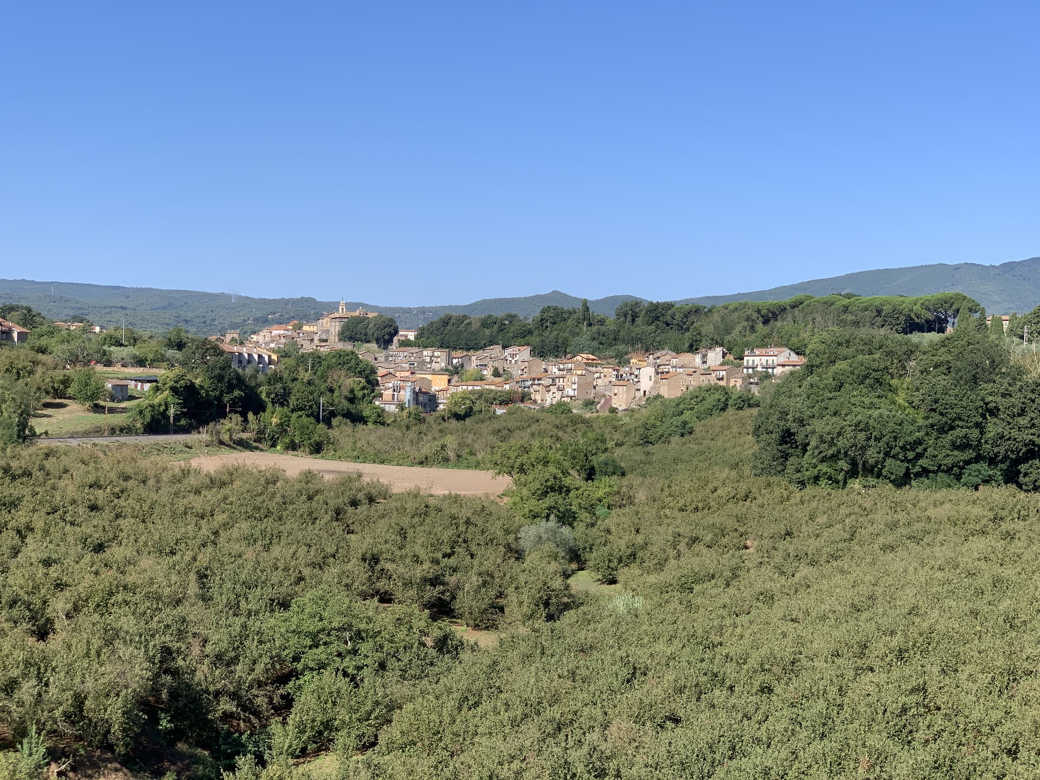 Blick auf Vignanello