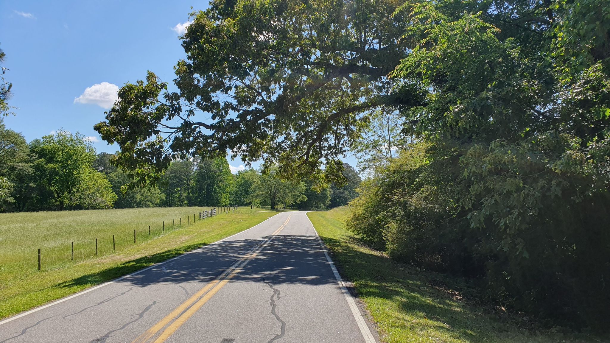 Paved road with yellow lines, green fields, and trees under bright sun. - Clover Lake – Lake Horton loop from Flat Creek Nature Area