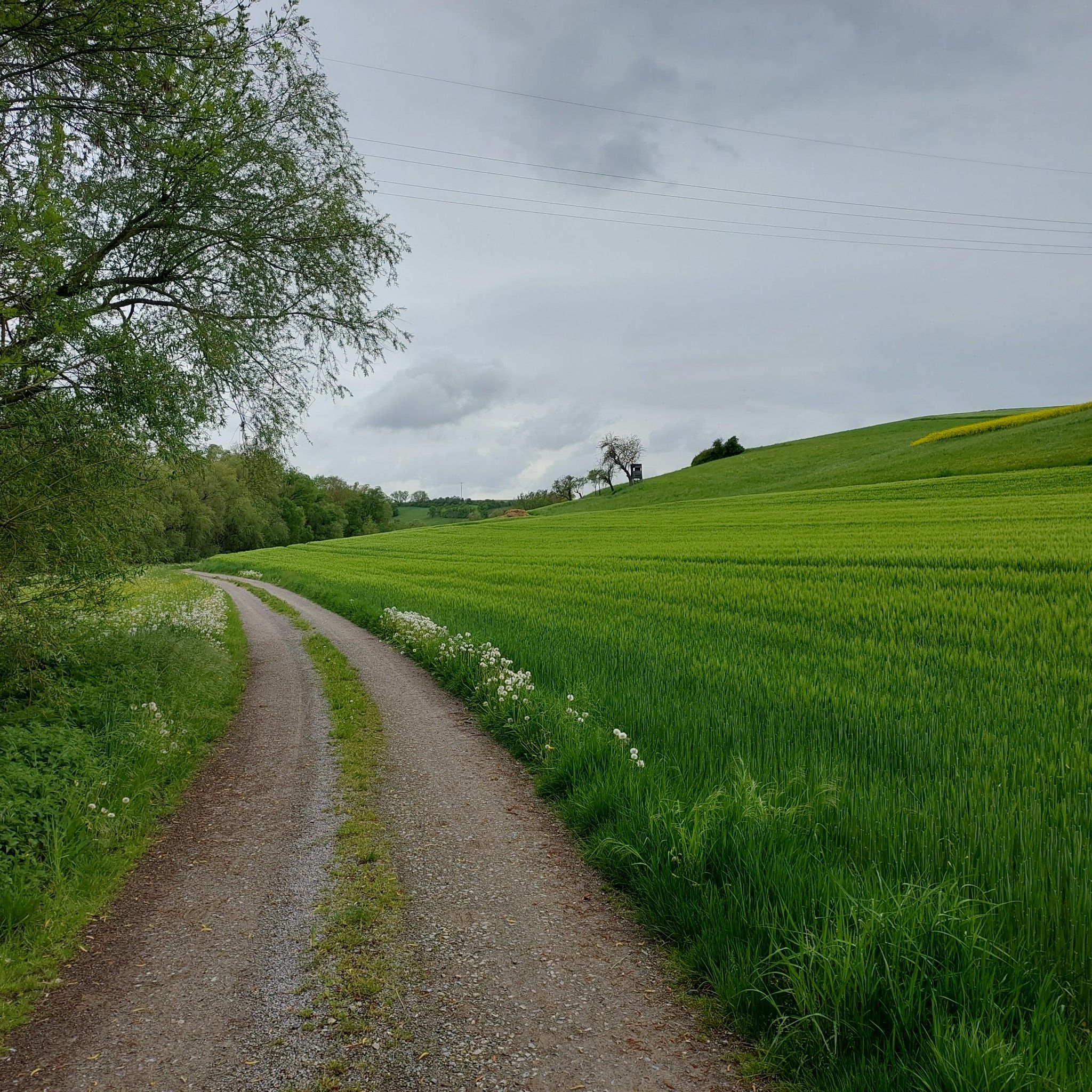Moorseebachweg