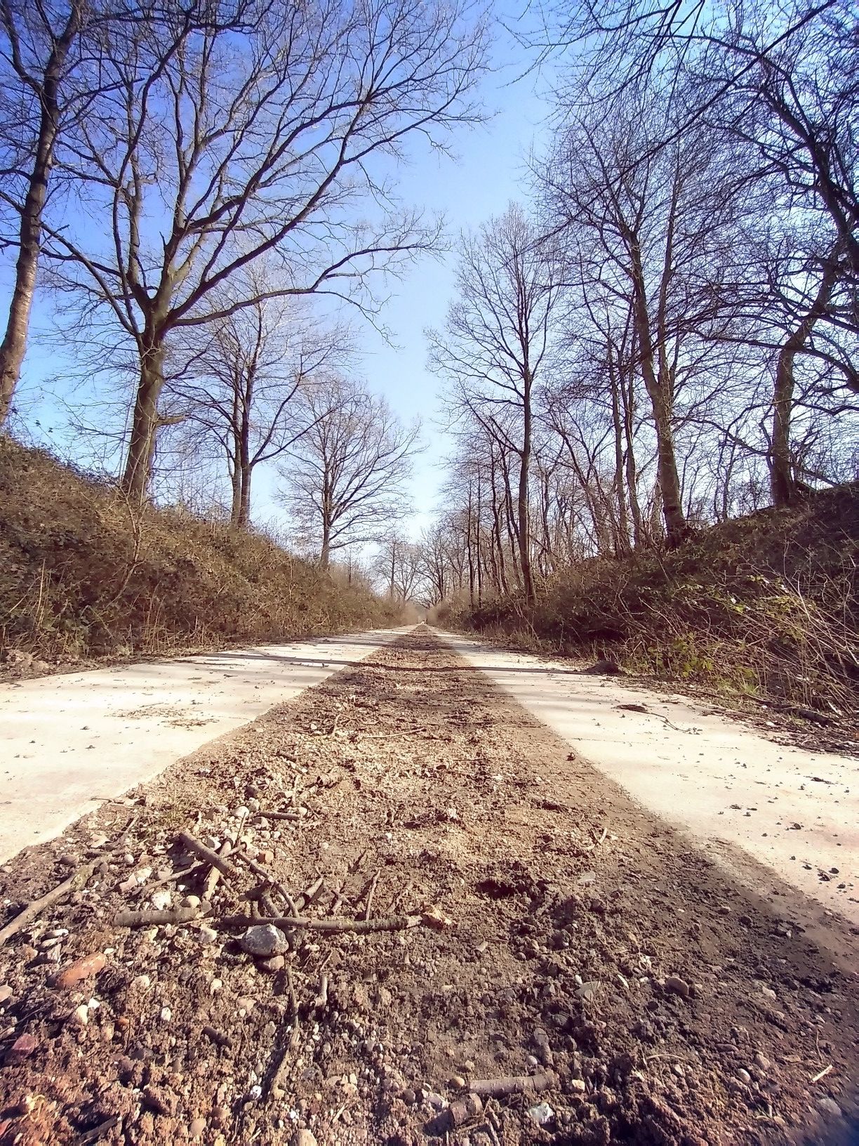 So geht's weiter bis nach Nettelsee - Neue Platten!