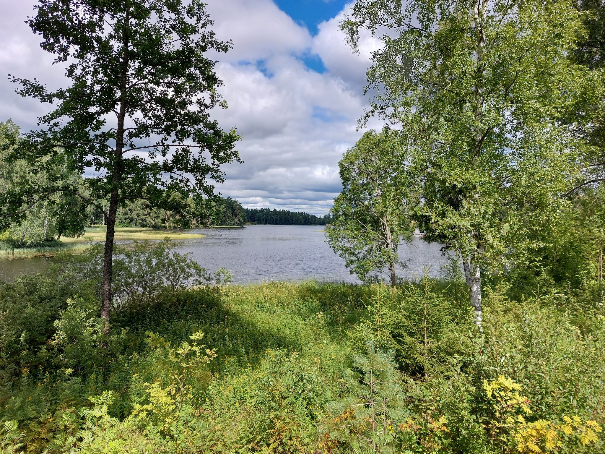 The other site