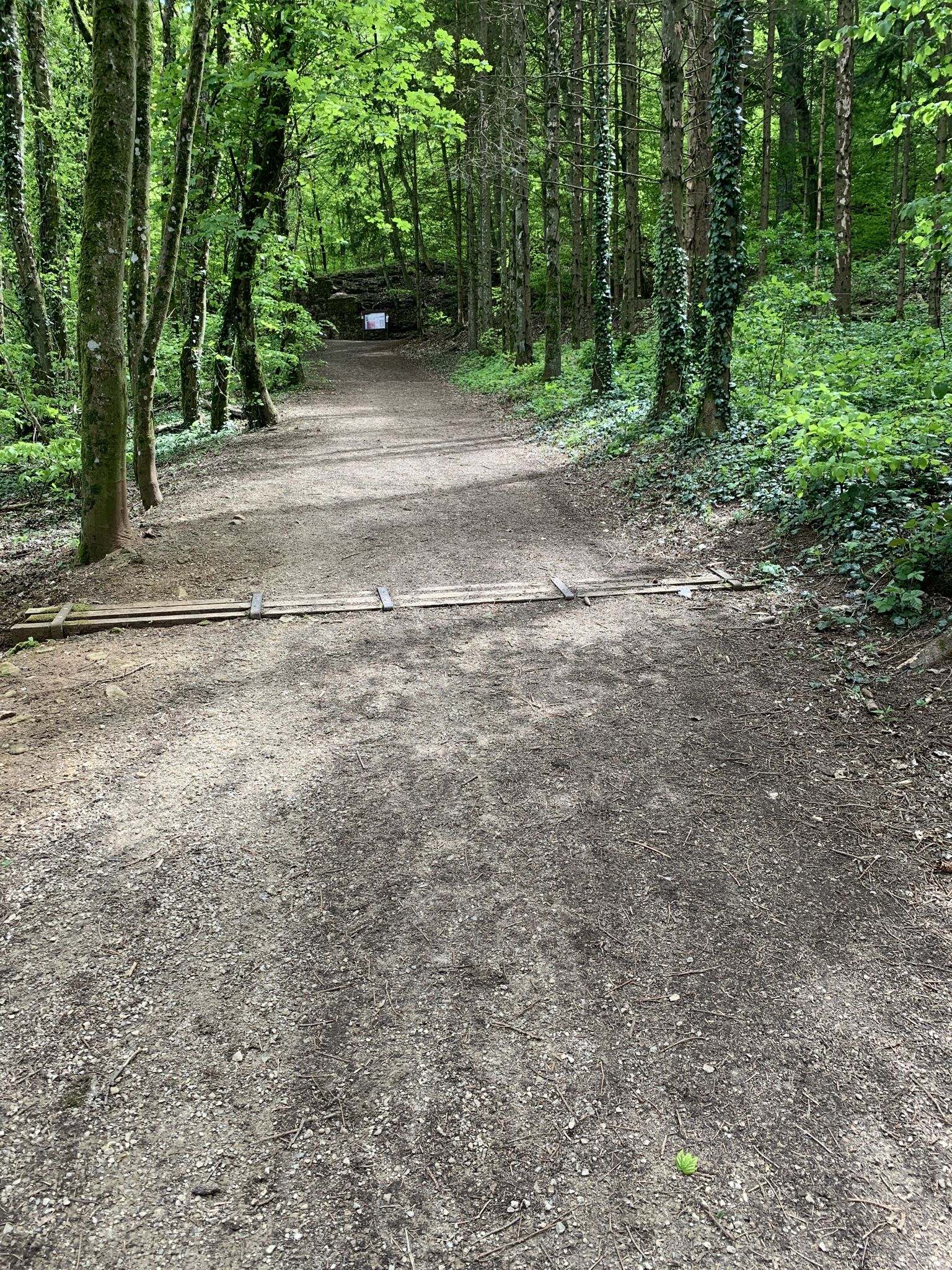 16 % auf 100 m