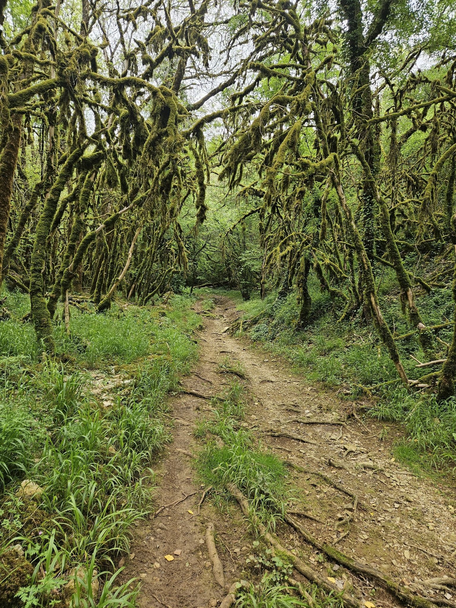 Départ du chemin vers Cournou