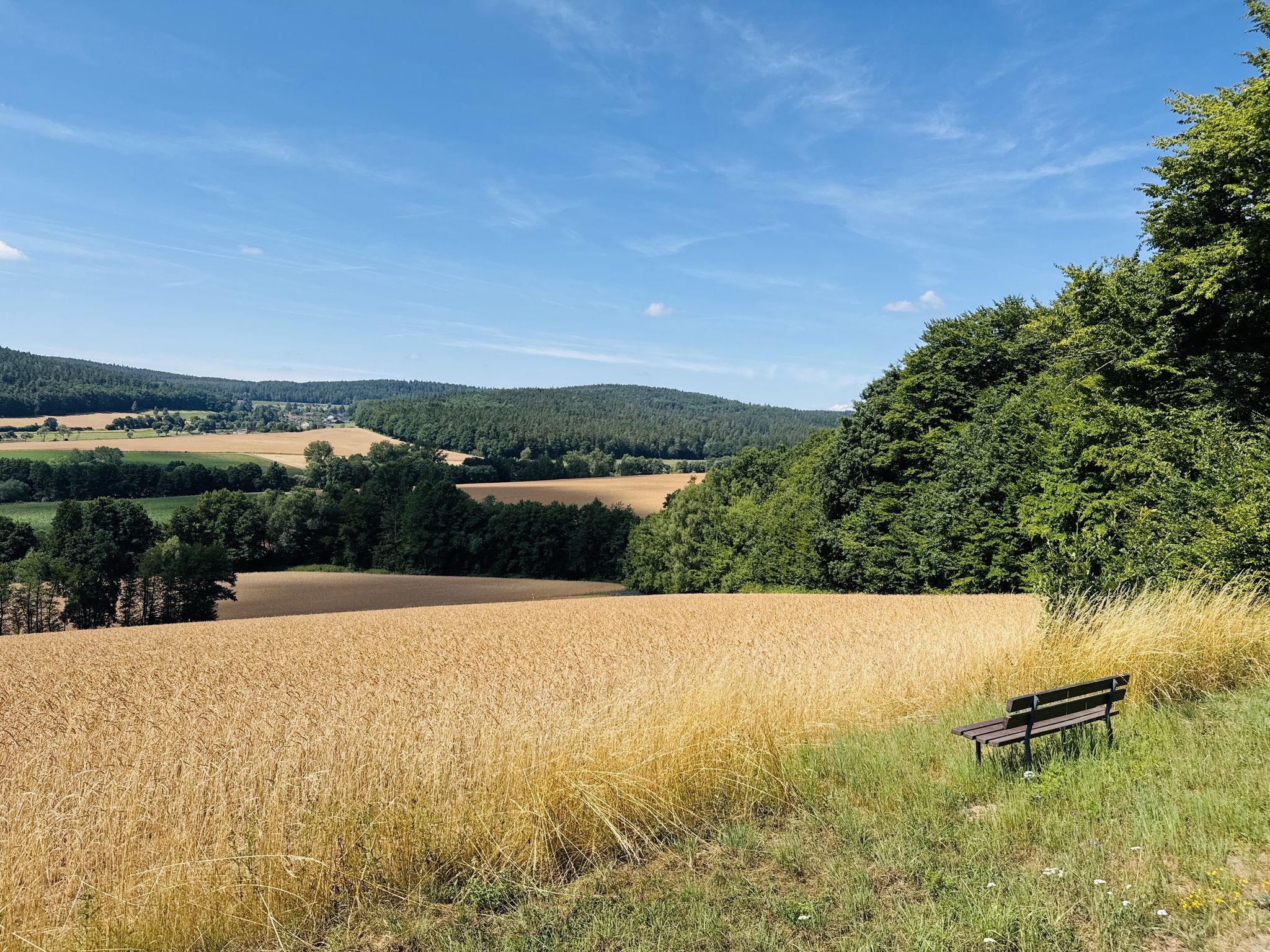 Weiter Ausblick