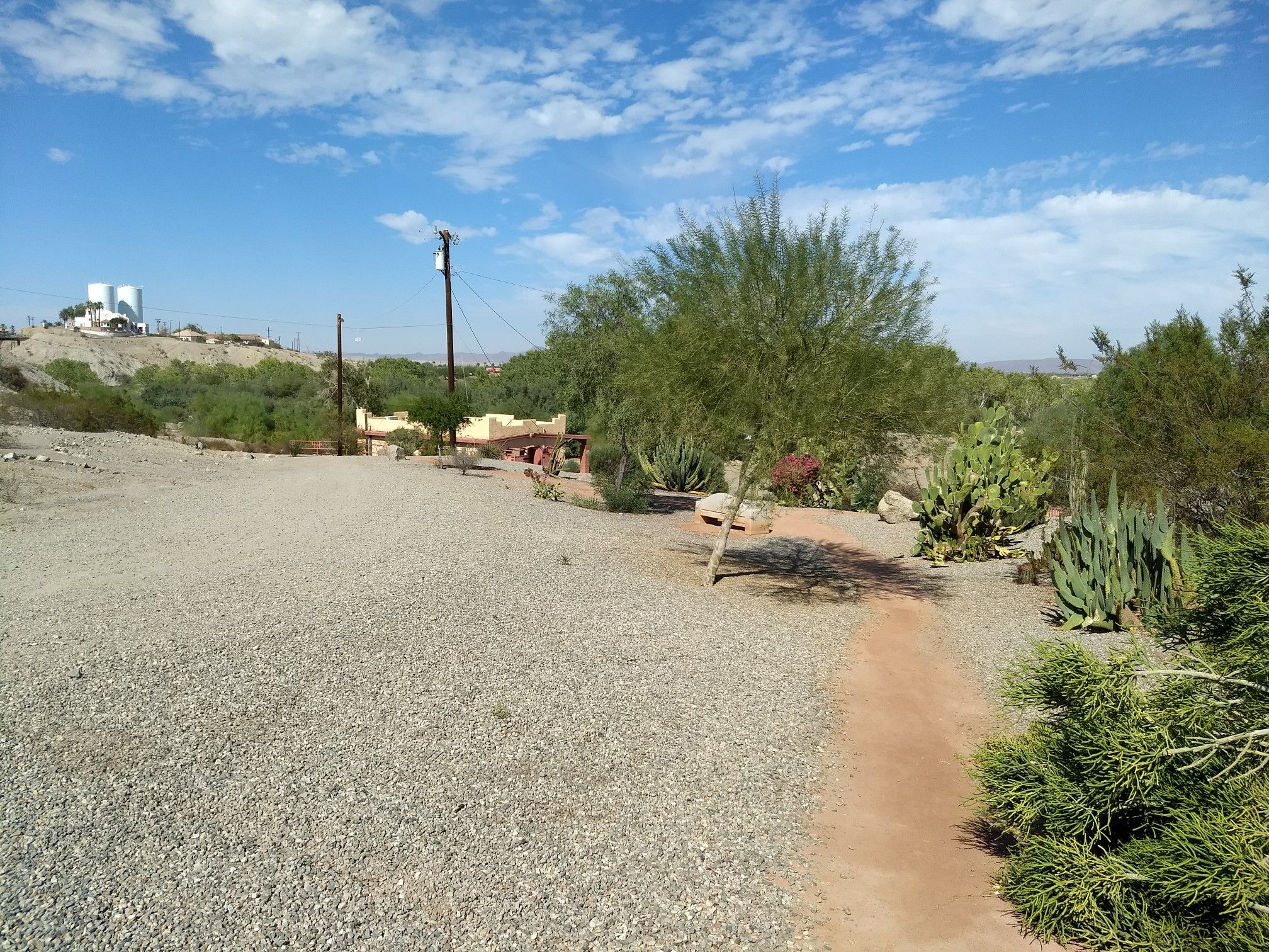 Gravel path next to desert plants, leading to distant buildings under a blue sky. - East Main Canal Path and Yuma Crossing Path gravel loop