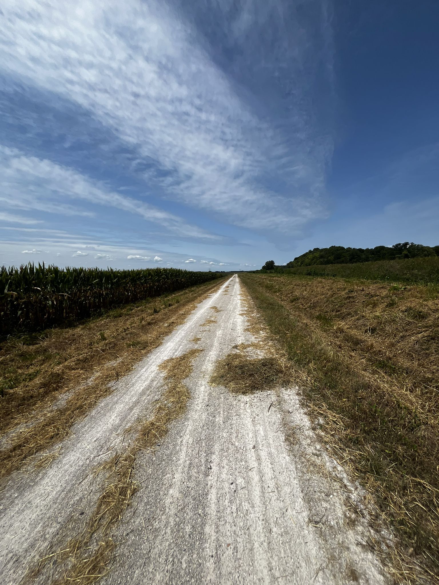 A long straight gravel path between a cornfield and grassy field under a blue sky. - Augusta – Bums Cave loop from Augusta