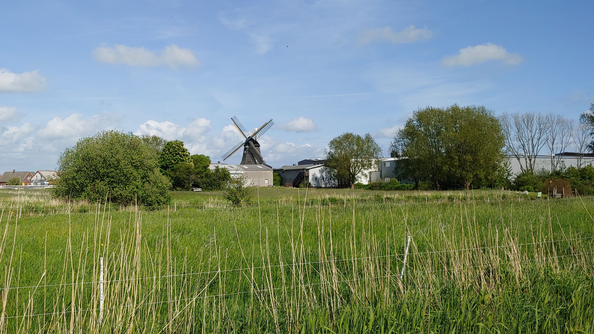 Mühle Wilster