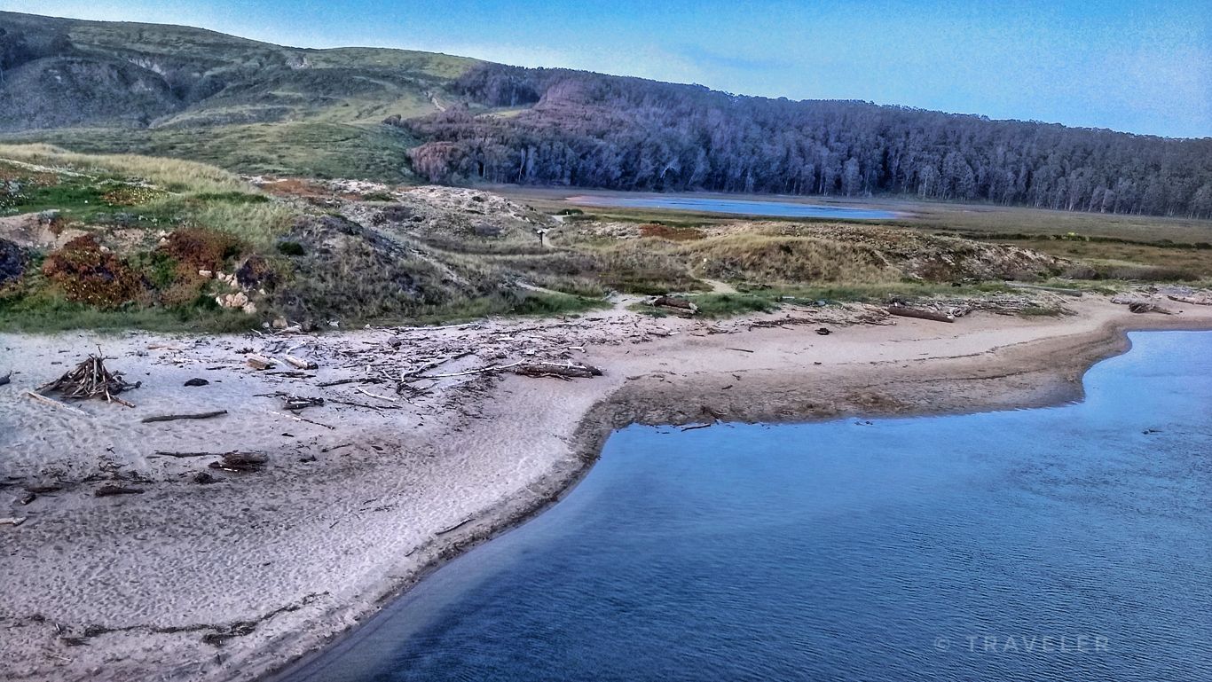 Sandy beach meeting the ocean, backed by a forest and hills. - Cabrillo Highway, Cloverdale Road & Stage Road loop