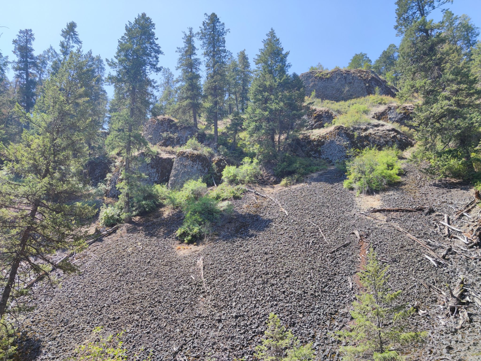 A steep hillside covered in dark volcanic rock and scattered pine trees. - Top of the Ridge Viewpoint – North Section of Trail 25 loop from Trautman Ranch Conservation Area