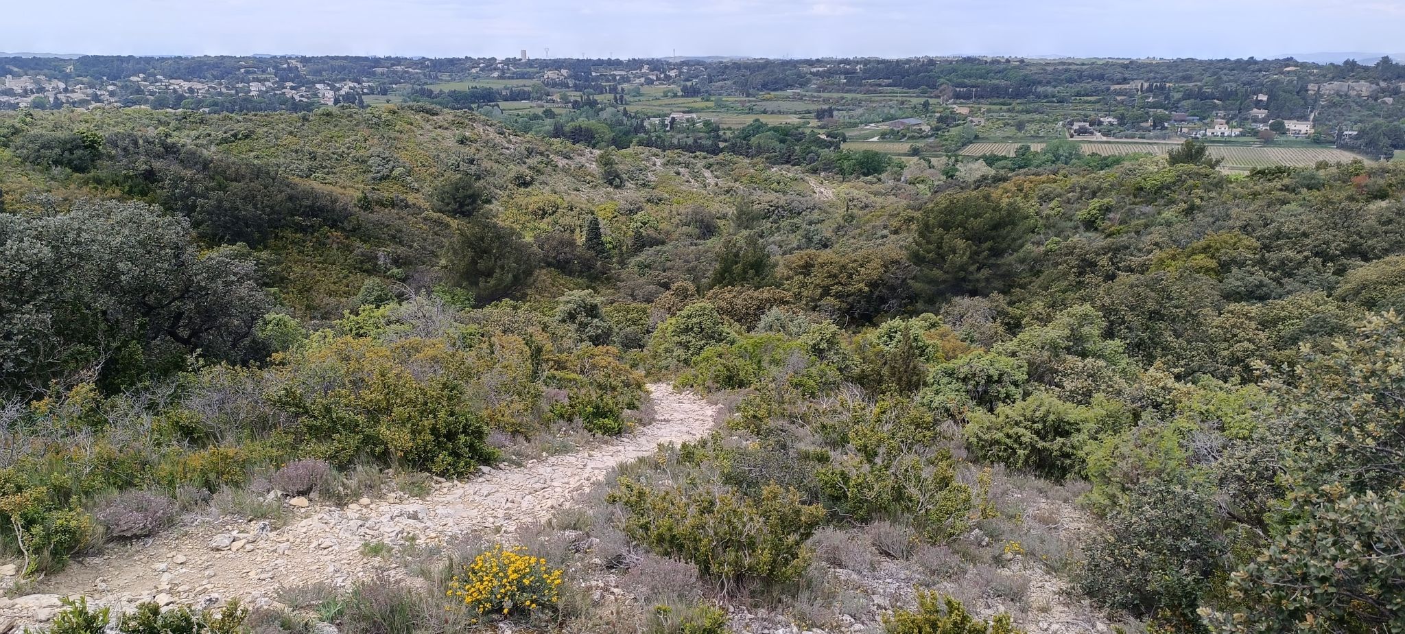 Felsenpfad hochgewandert