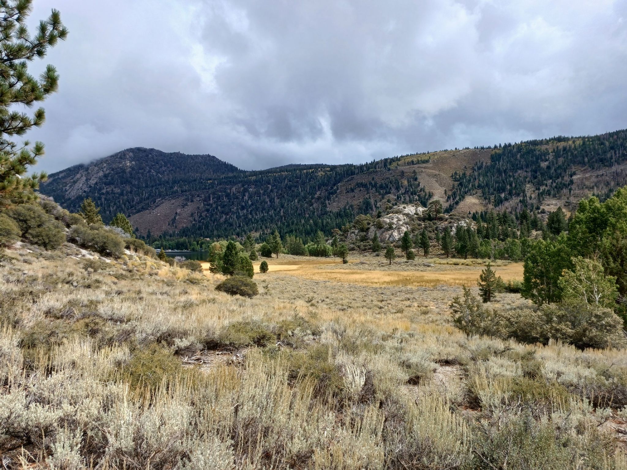 Cloudy sky over a mountain landscape with a grassy meadow and scattered trees. - Gull Lake Loop Trail