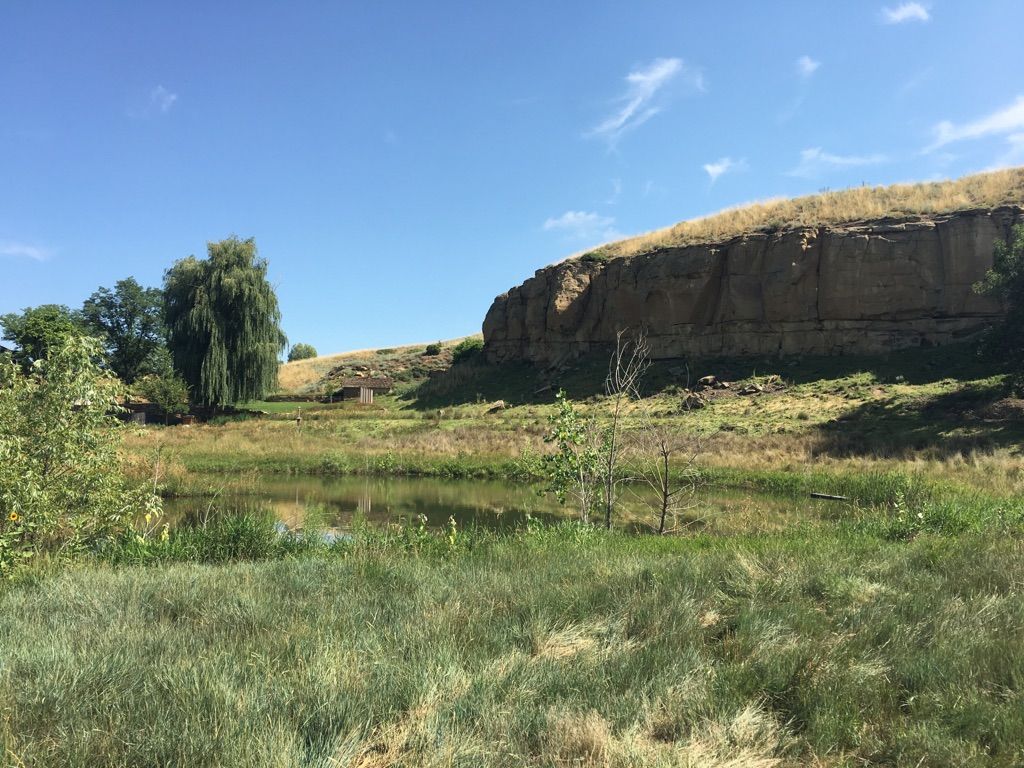 Sunny pond with green grass, trees, and a large rock cliff in background. - Longmont Loop - South
