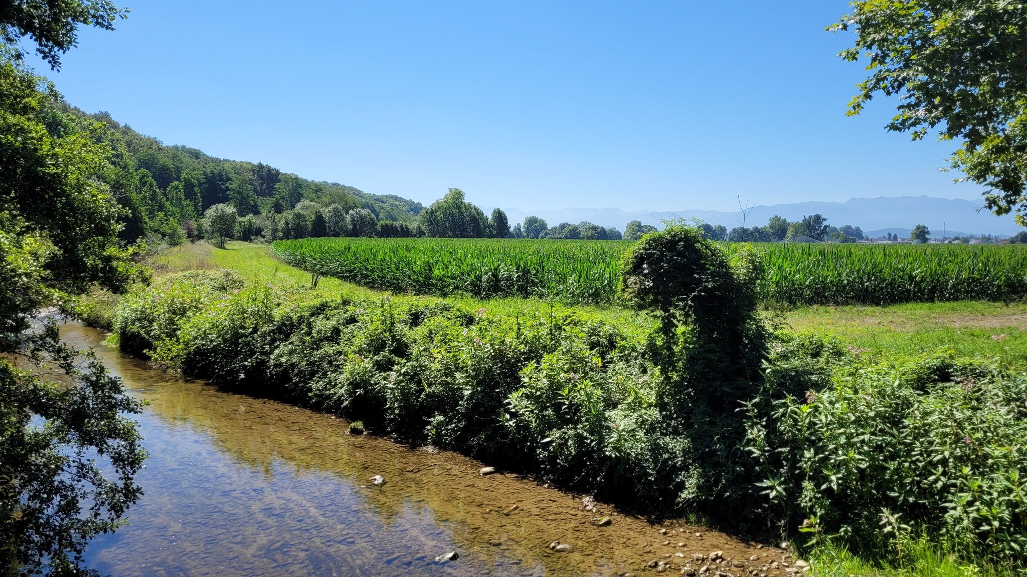 Je repars d'ici, les Pyrénées en fond.