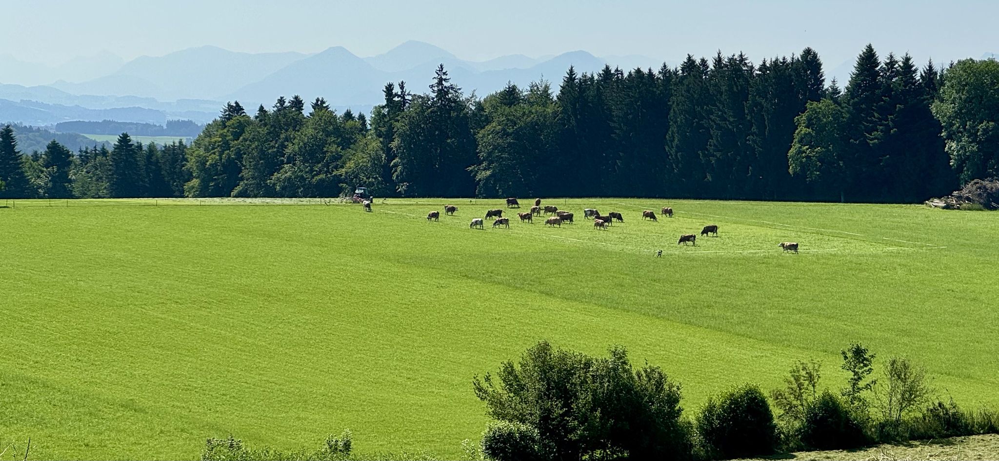 Güterweg Schießentobel