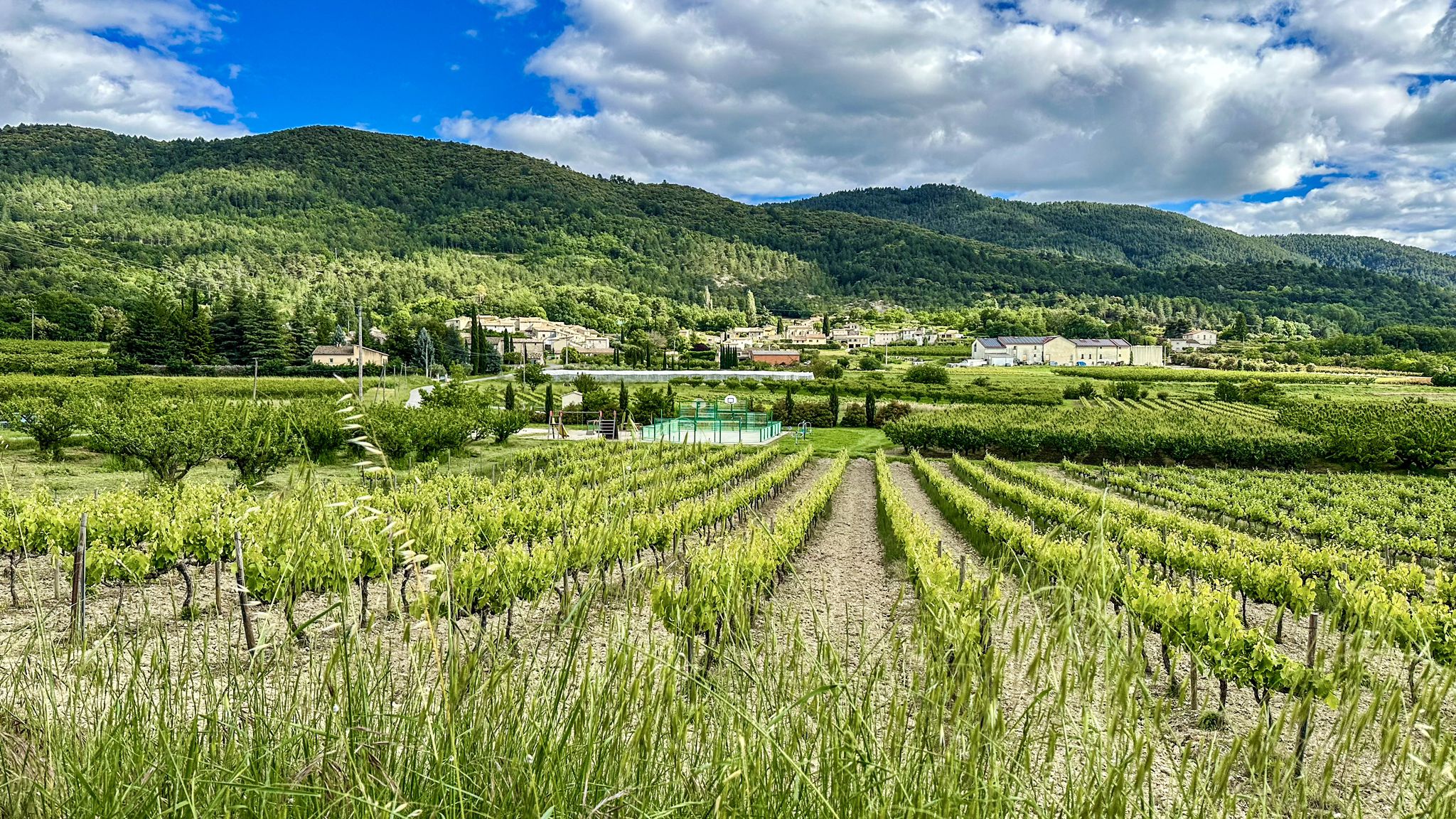 ...Beaumont du Ventoux voraus💪🏼.