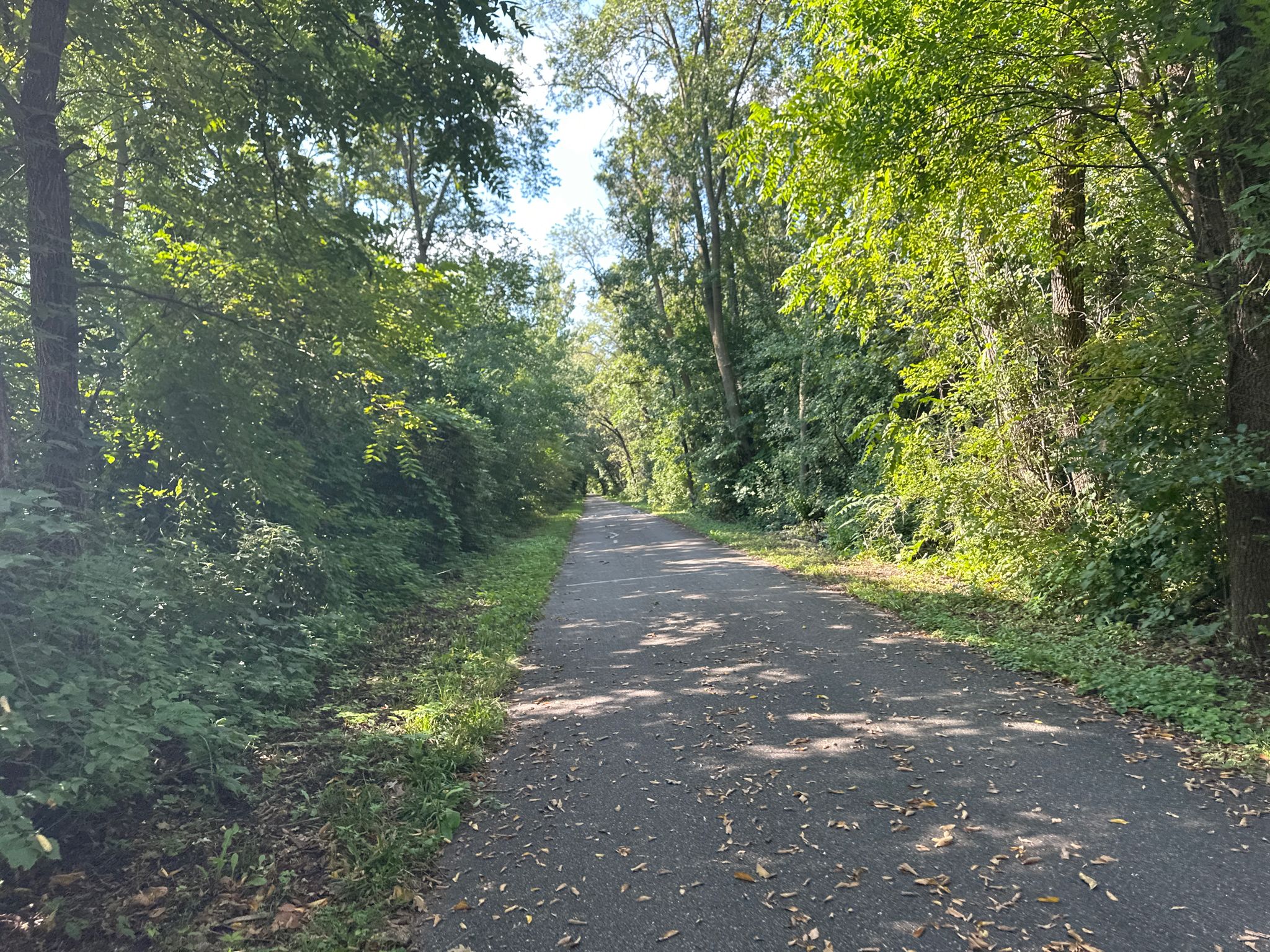 Shaded paved path through a dense green forest on a bright day. - Cannon Lake beach – Cannon Lake loop from Faribault