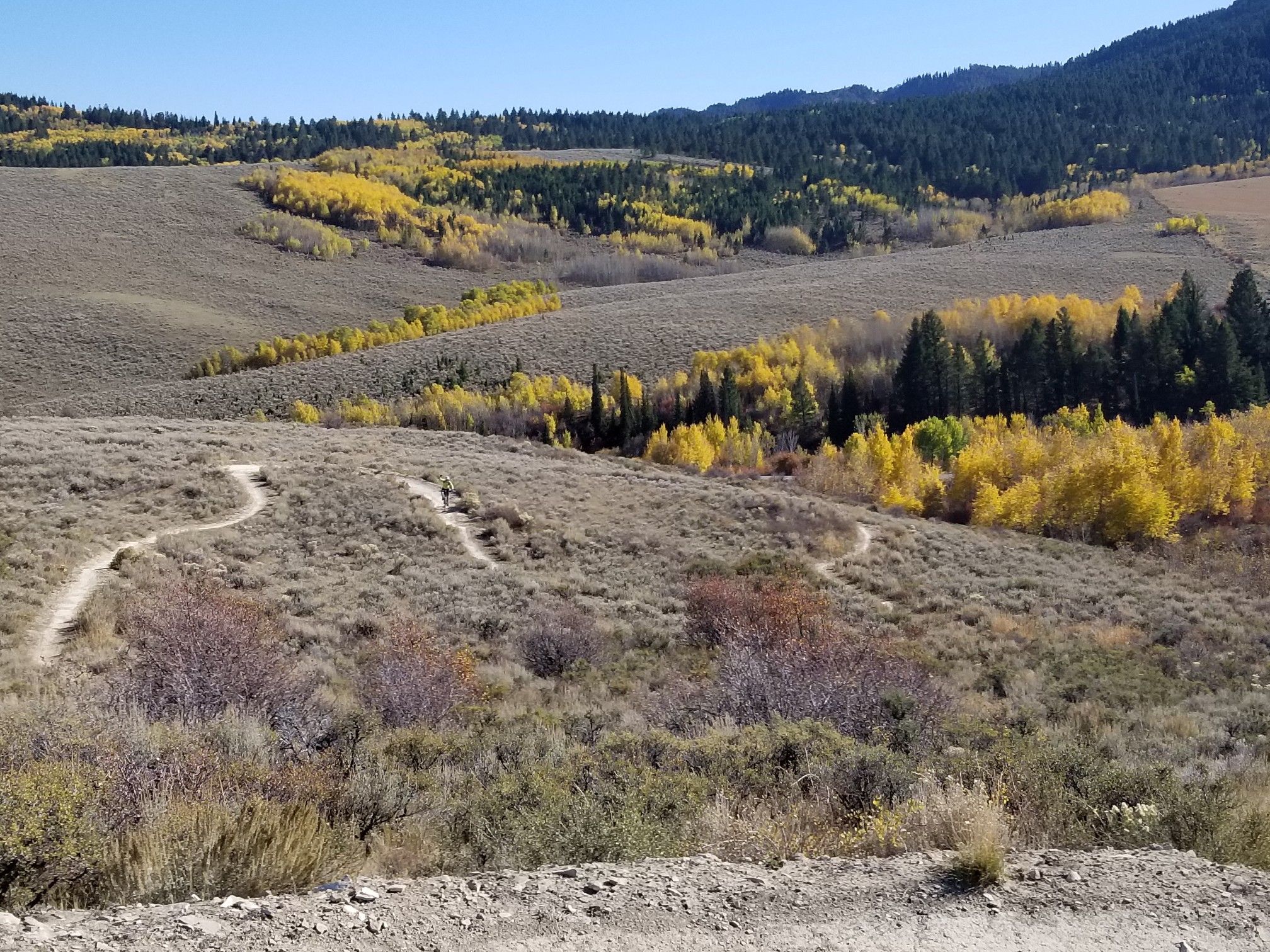 Winding dirt trails through rolling hills with vibrant yellow autumn trees. - Curt Gowdy State Park loop
