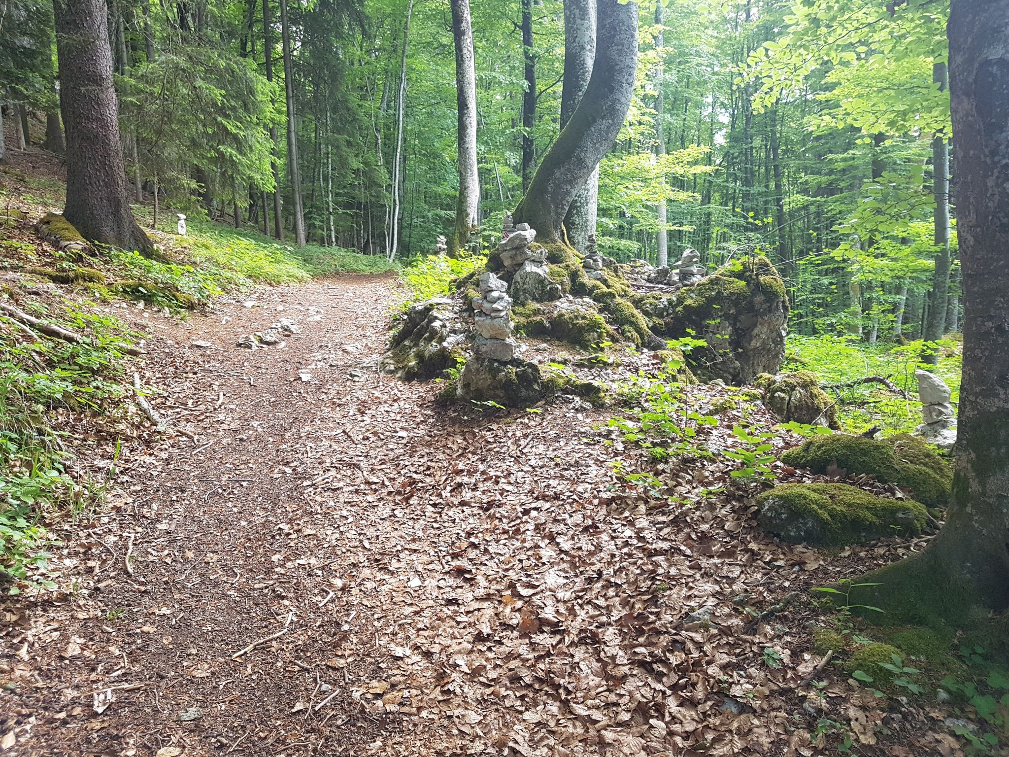 Rückweg vom Heidentor. Bissle gruslige Stimmung hier.